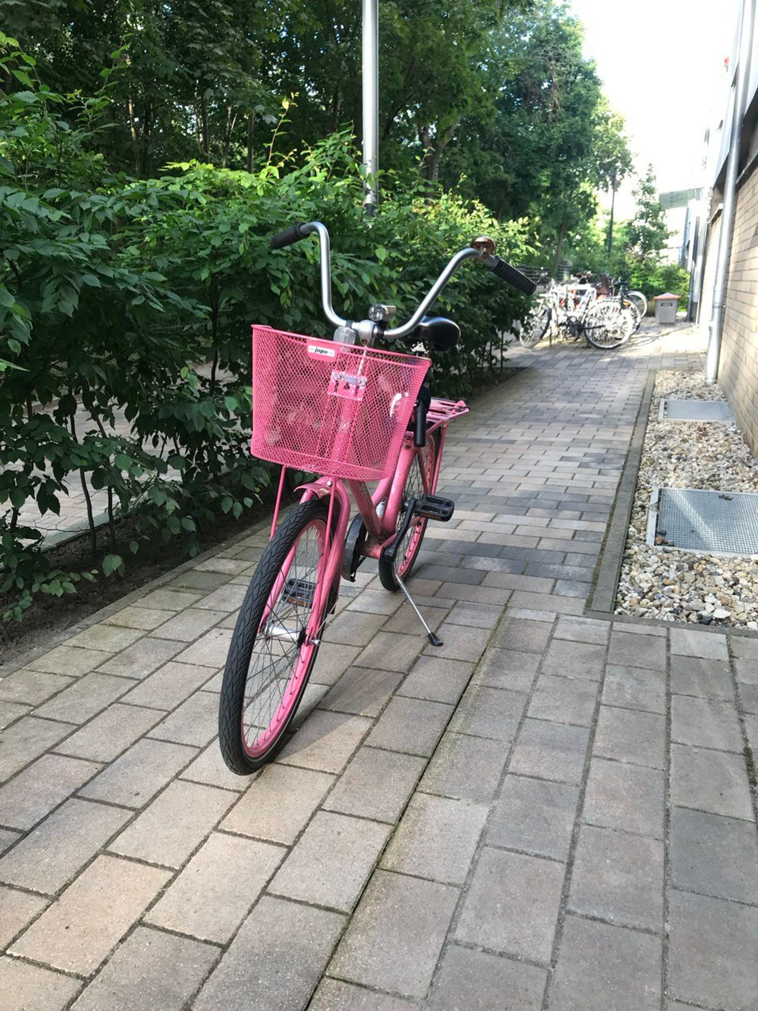 Mein Fahrrad: Ein pinkes Jopo-Fahrrad von Helkama mit pinken Reifen, einem pinken Korb und einer bronzefarbenen Fahrradklingel. Der jopo-Schriftzug ist weiß.