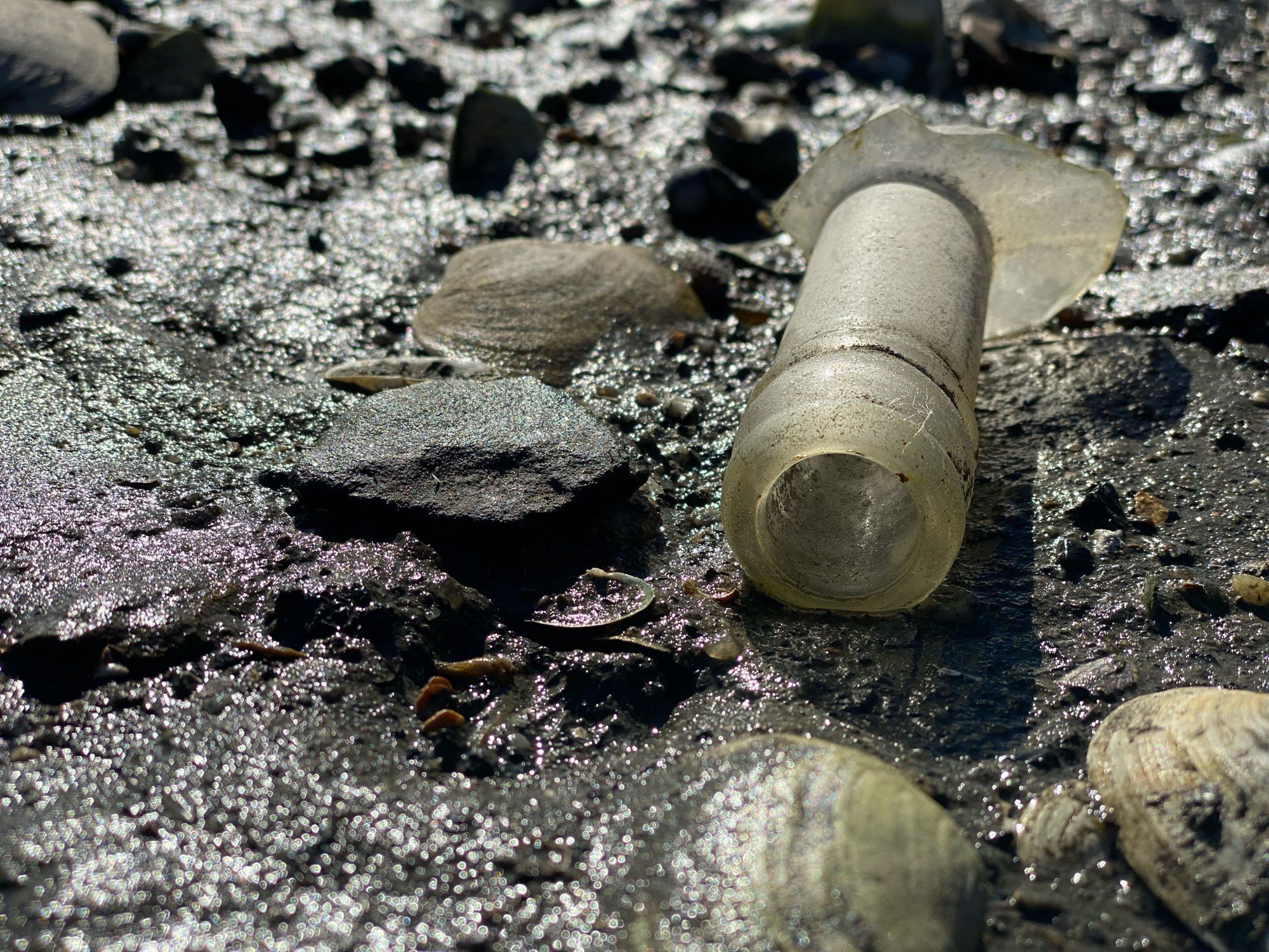 Mud and sand glimmer in the light as clam shrlls(white) and rocks are on it. A piece of a glass bottle: the neck of it lies.