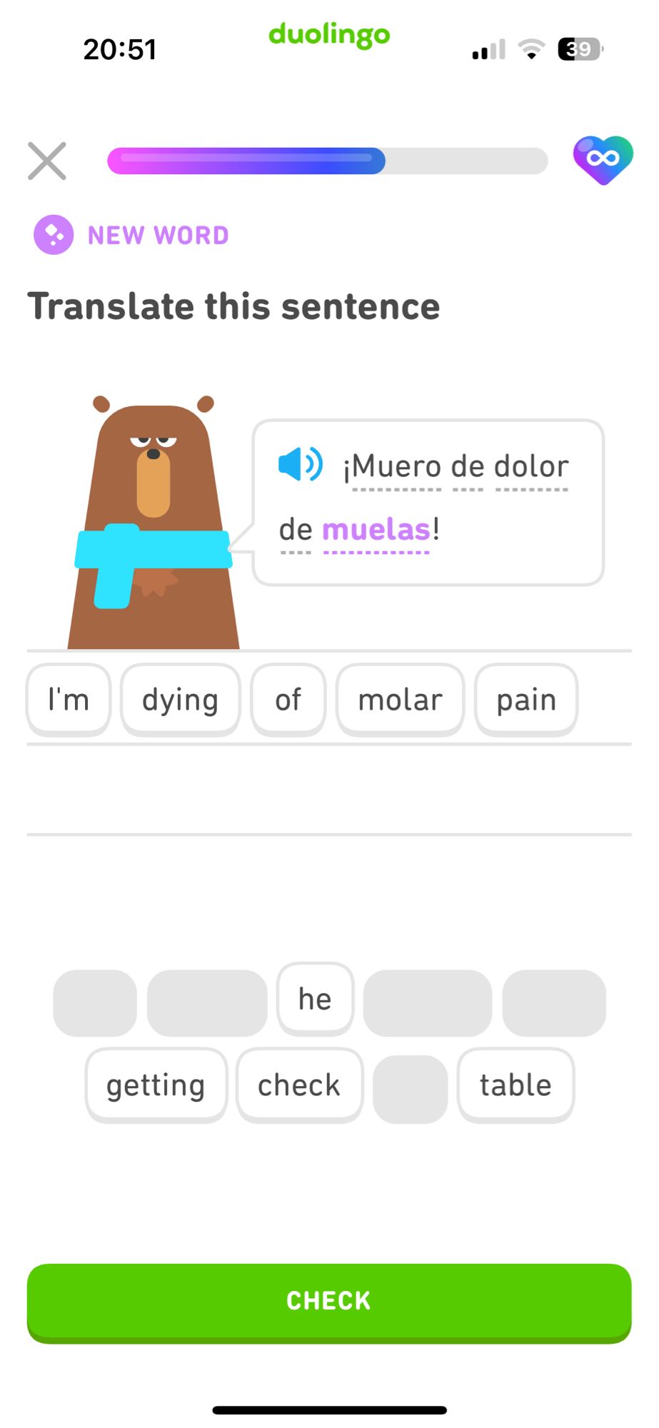 Screenshot from Duolingo. The bear is saying “I’m dying of molar pain.”