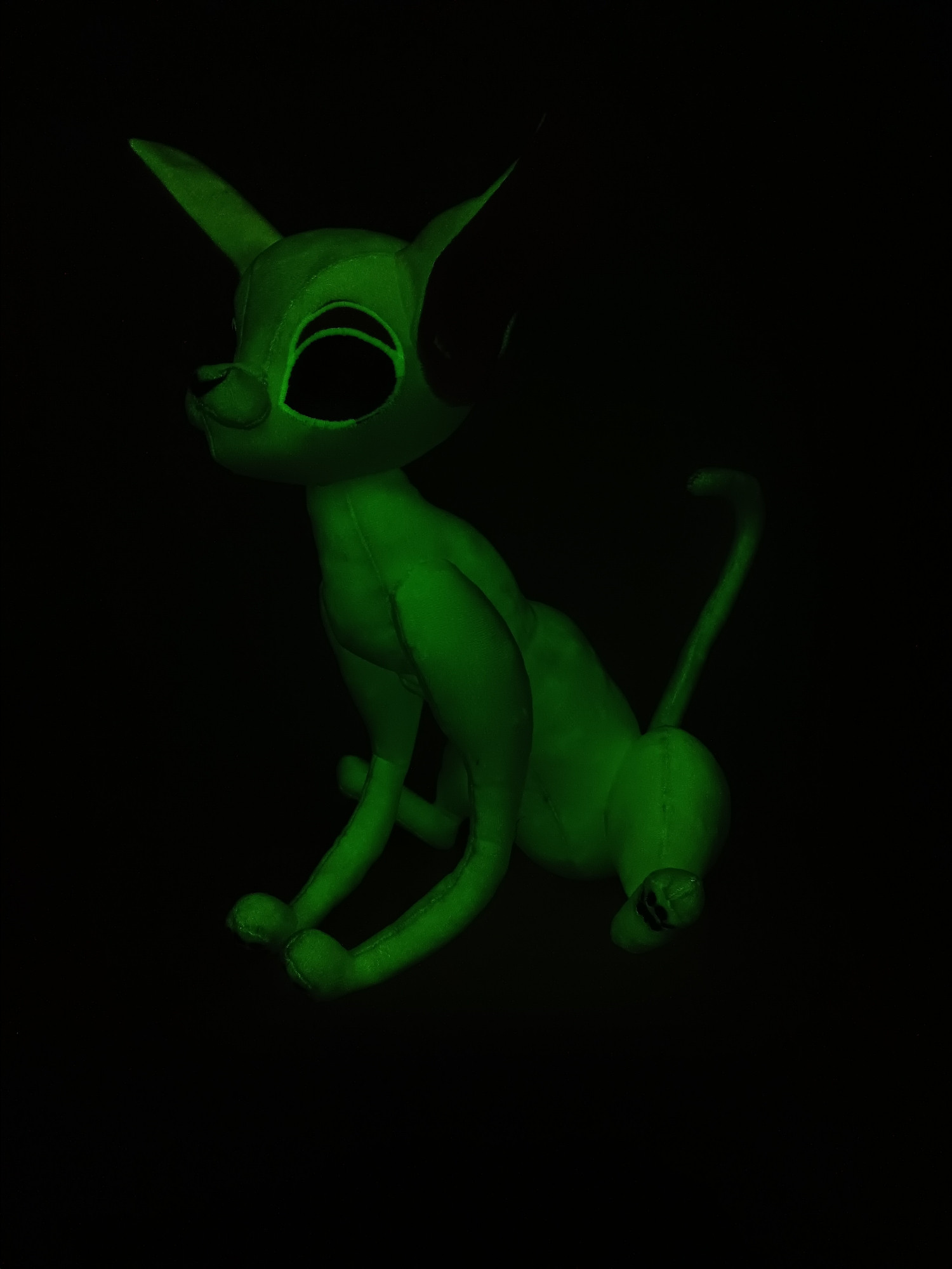 The same cat plush as in the next picture - but everythin is dark. The cat plush glows in the dark so you See here shape in a green light