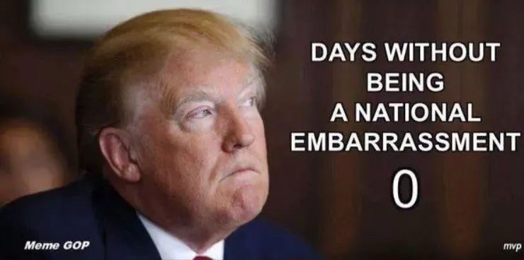 DJT pictured beside the words:
"Days without being a national embarrassment 0"