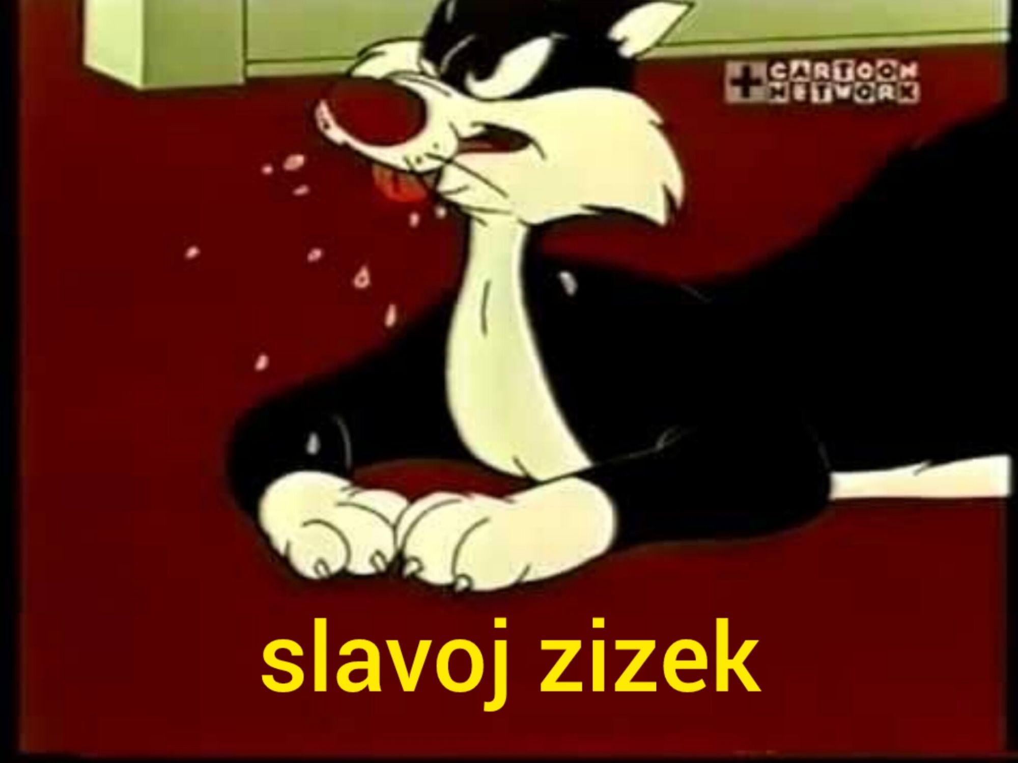 A imagem mostra o personagem Frajola da série animada Looney Tunes deitado com expressão frustrada e babando, com gotas caindo da boca. Abaixo da imagem, em letras grandes e amarelas, está escrito "slavoj zizek".