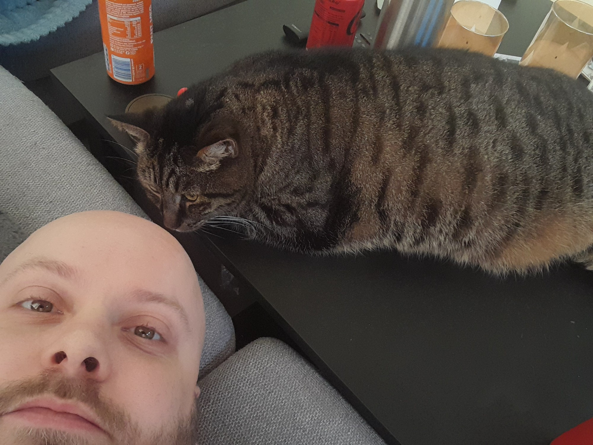 My face lying down on couch, Jånni the tabby cat on a black table. Assorted soda pop cans and some other table stuff can also be seen. I am bald and have a short gray beard, Jånni is gray and brown striped