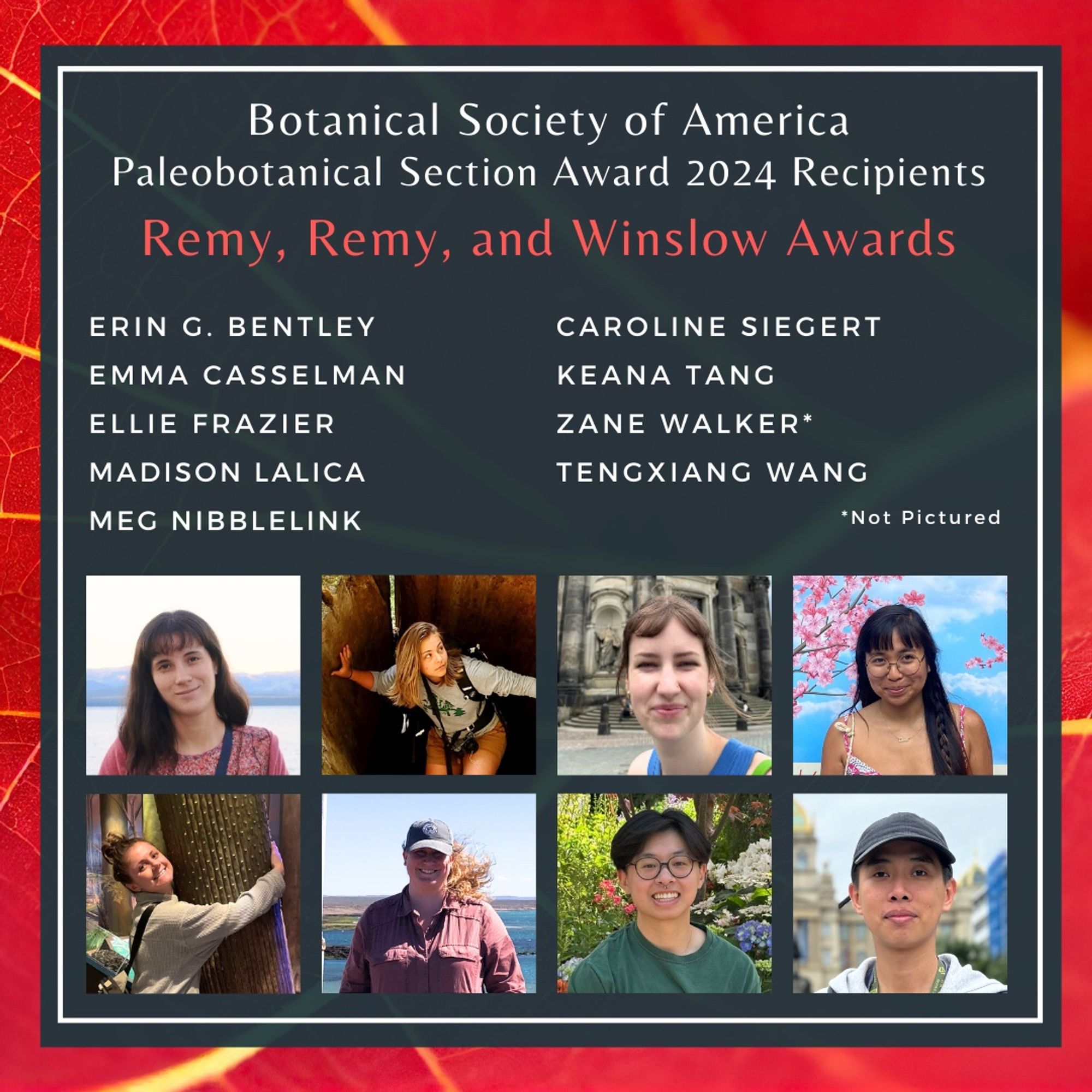 This image shows the photos of the winners of the Remy, Remy, and Winslow awards: Erin G. Bentley, Emma Casselman, Ellie Frazier, Madison Lalica, Meg Nibblelink, Caroline Siegert, Keana Tang, Zane Walker, Tengxiang Wang.