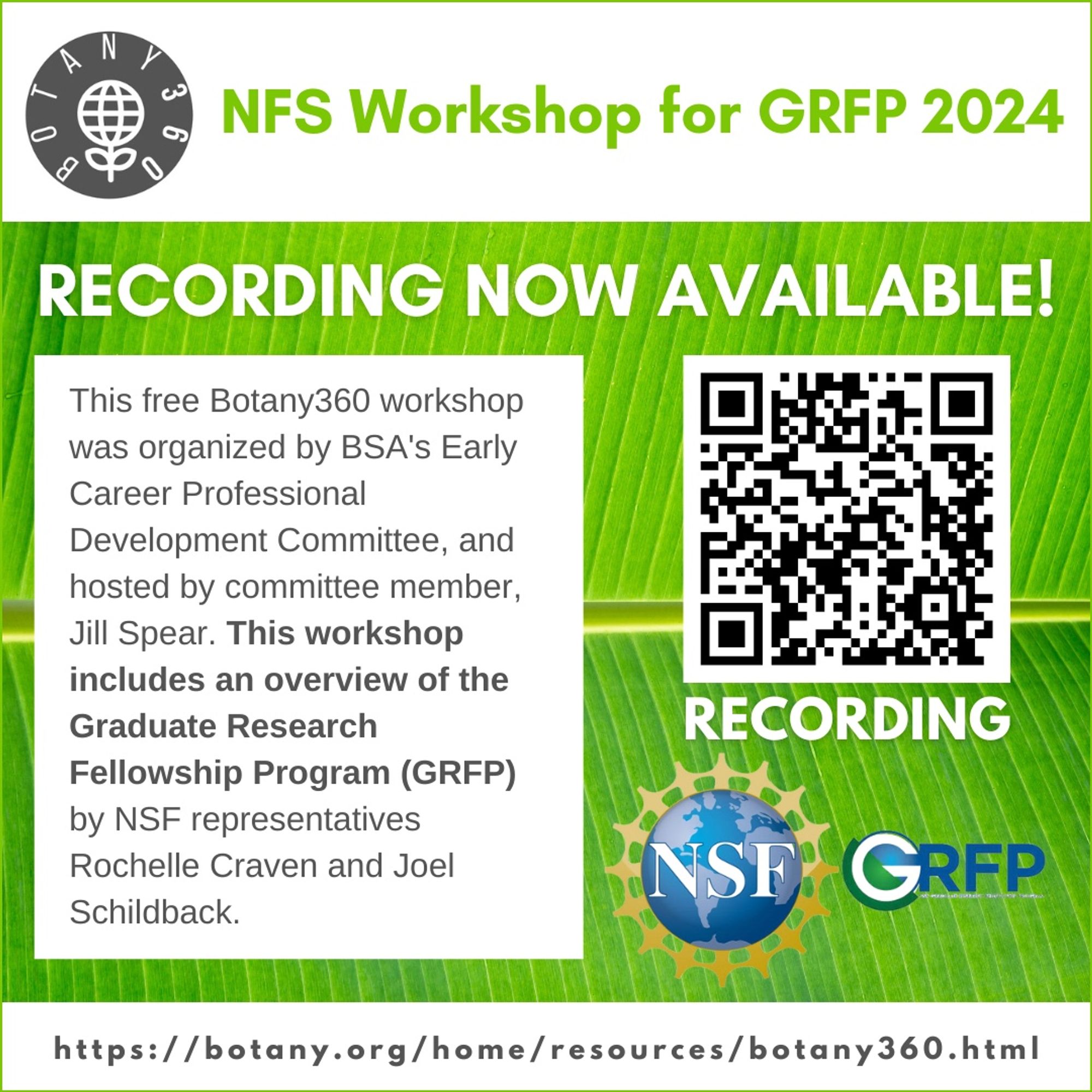 Graphic promoting the availability of a recording for the NFS Workshop for GRFP 2024. The banner at the top reads 'RECORDING NOW AVAILABLE!' in bold white text on a green leaf background. The Botany360 logo is in the top left corner, and there is a QR code on the right side labeled 'RECORDING' in white. The text explains that the free workshop was organized by the BSA's Early Career Professional Development Committee and hosted by Jill Spear, featuring an overview of the Graduate Research Fellowship Program (GRFP) by NSF representatives Rochelle Craven and Joel Schildback. Logos for NSF and GRFP are at the bottom, and the website link for more information is shown: https://botany.org/home/resources/botany360.html.