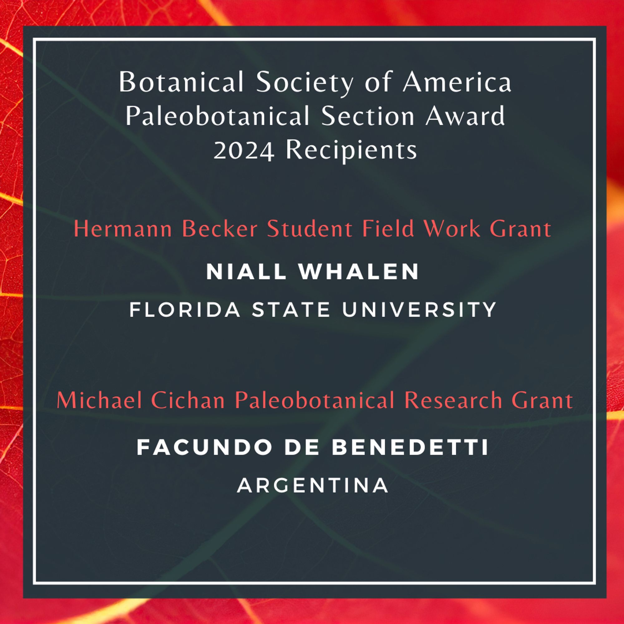 Text: Botanical Society of America Paleobotanical Section Award 2024. Recipients.Hermann Becker Student Field Work Grant: Niall Whalen, Florida State University. Michael Cichan Paleobotanical Research Grant: Facundo De Benedetti, Argentina.