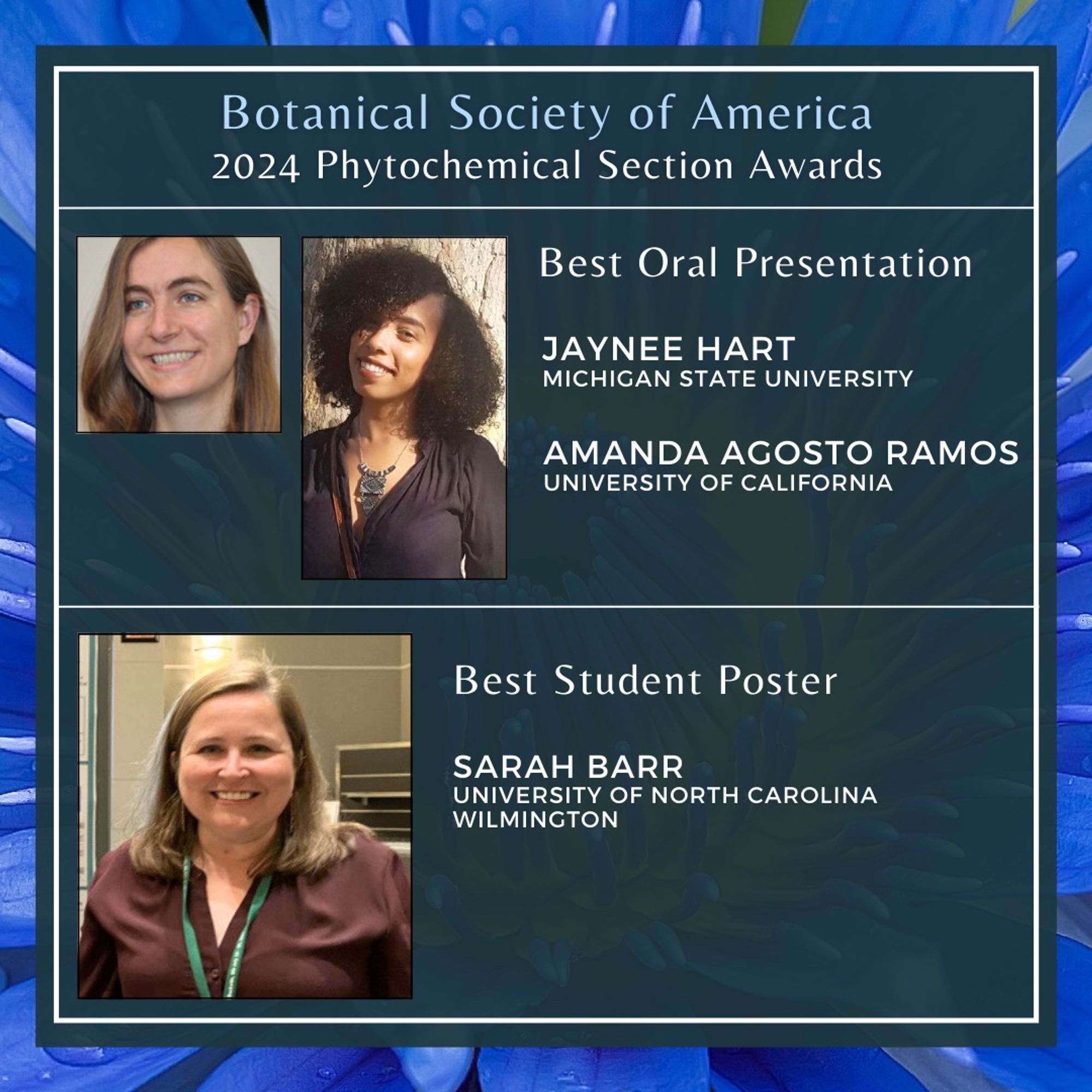 This image shows 3 photos of winners of BSA Phytochemical Section awards. Text: Botanical Society of America 2024 Phytochemical Section Awards. Best Oral Presentations. Jaynee Hart, Michigan State University. Amanda Agosto Ramos, University of California. Best Student Poster. Sarah Barr, University of North Carolina Wilmington.