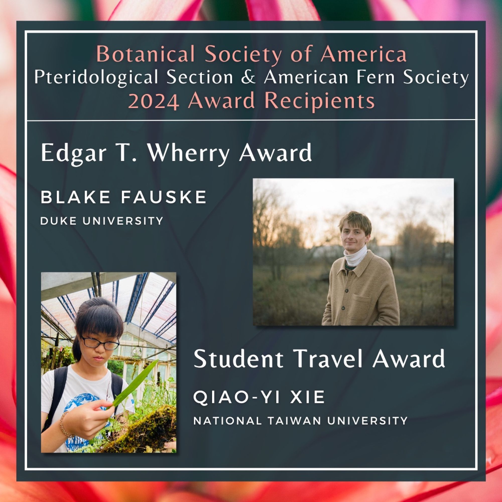 Photos of the two winners of the Pteridological Section awards can be seen. Text: Botanical Society of America Pteridological Section & American Fern Society 2024 Award Recipients. Edgar T. Wherry Award, Blake Fause, Duke University. Student Travel Award, Qiao-Yi Tie, National Taiwan University.