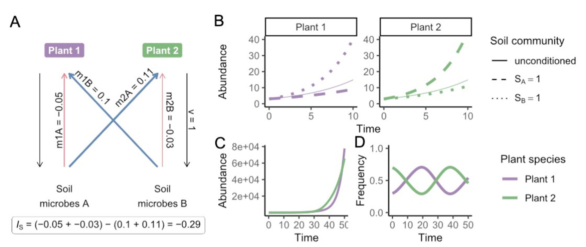 Three-part graphic showing schematic and simulated model dynamics from the canonical plant–soil feedback framework.