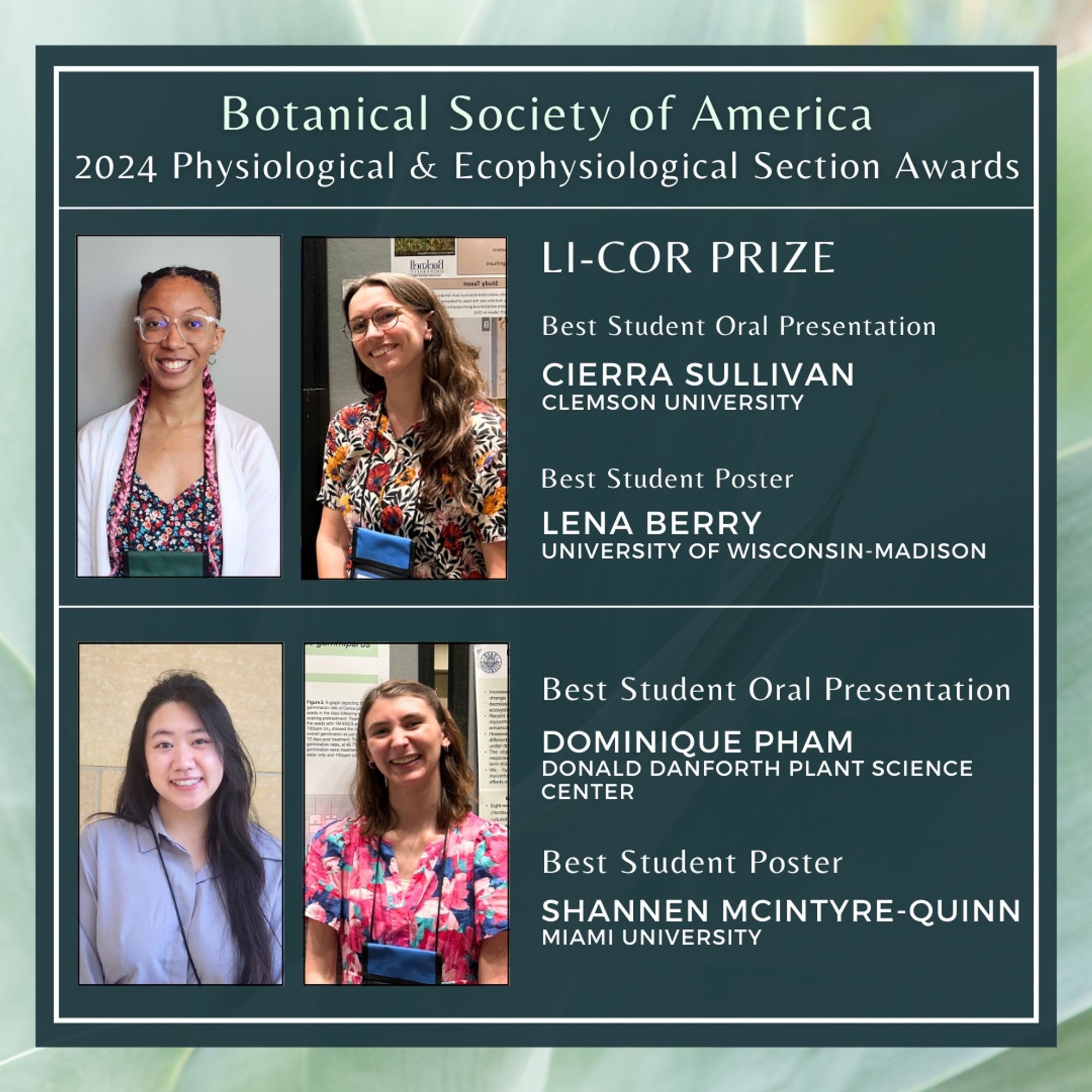 This image shows photos of the 4 winners of the 2024 Physiological & Ecolophysiological section awards. TexT: LI-COR Prize, Best Student Oral Presentation, Cierra Sullivan, Clemson University. Best Student Poster, Lena Berry, University of Wisconsin Madison. Best Student Oral Presentation, Dominique Pham, Donald Danforth Plant Science Center. Best Student Poster, Shannen McIntyre-Quinn, Miami University.