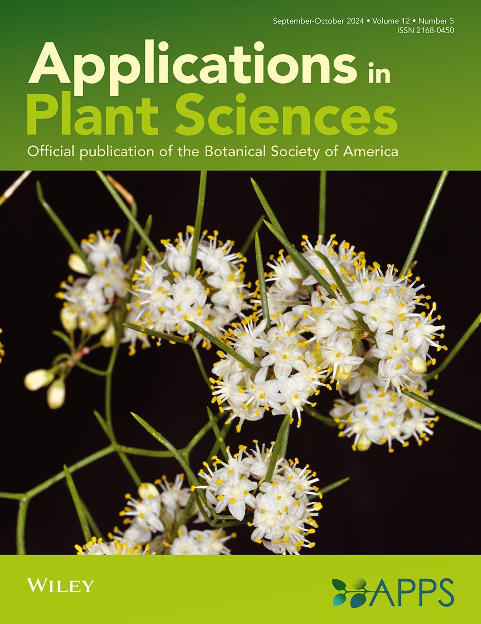 The cover of the September-October issue of  Applications in Plant Sciences. The image shows Asparagus striatus inflorescences against a black background. Photo credit: John and Sandra Burrows