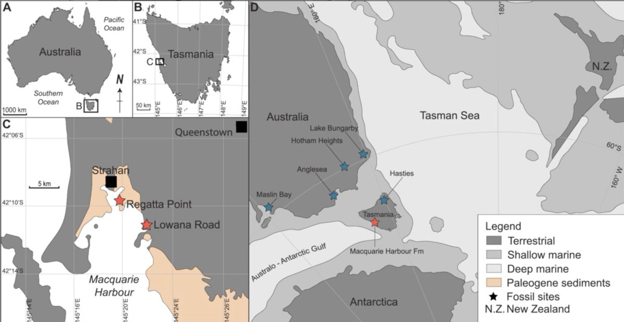 Maps of Australia, Tasmania, and the Strahan region with fossil sites marked, and a paleogeographic map of the early Eocene (53.3 mya),