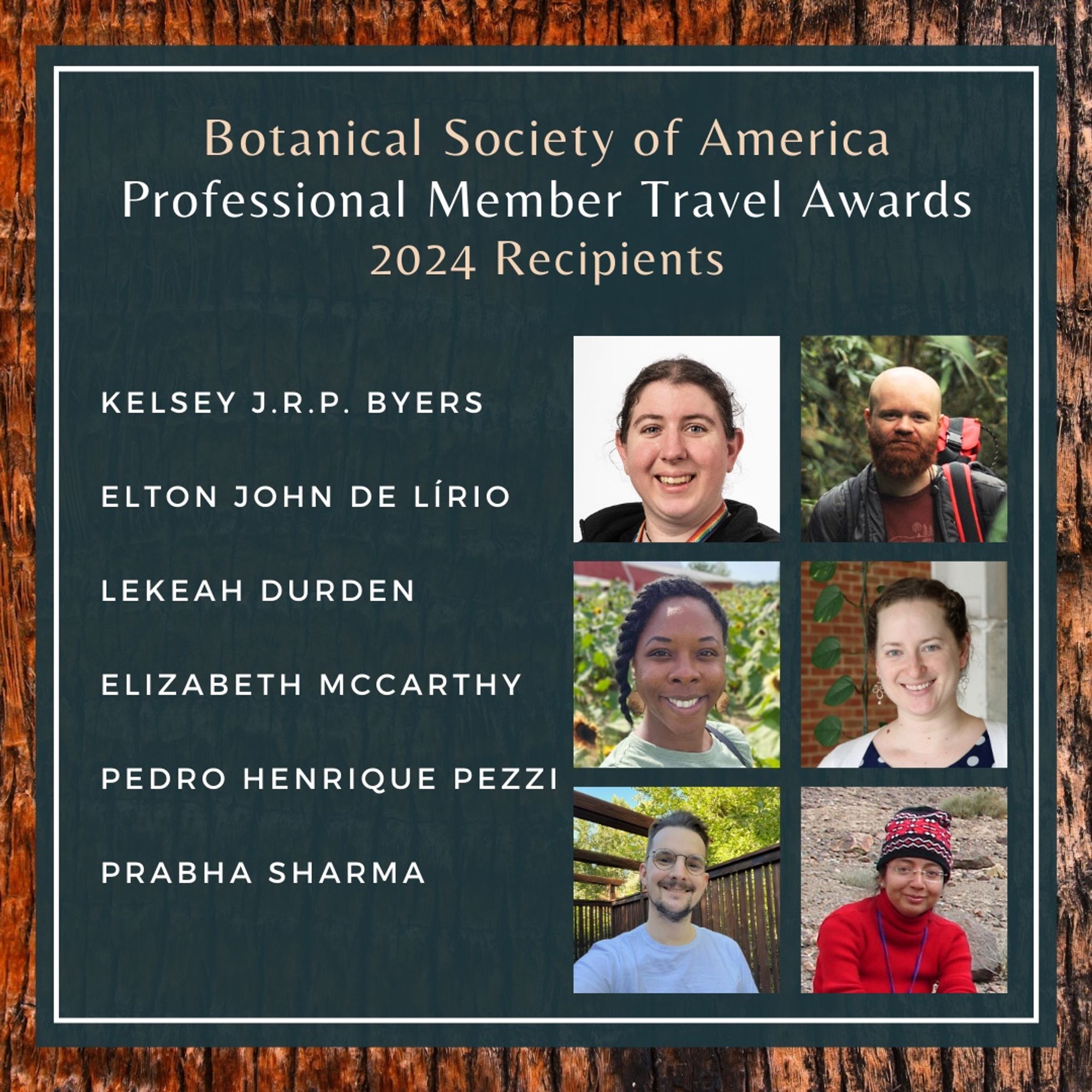 This image shows the 6 winners of the 2024 BSA Professional Member Travel Awards, Kelsey JRP Byers, Elton John de Lirio, Lekeah Durden, Elizabeth McCarthy, Pedro Henrique Pezzi, and Prabha Sharma