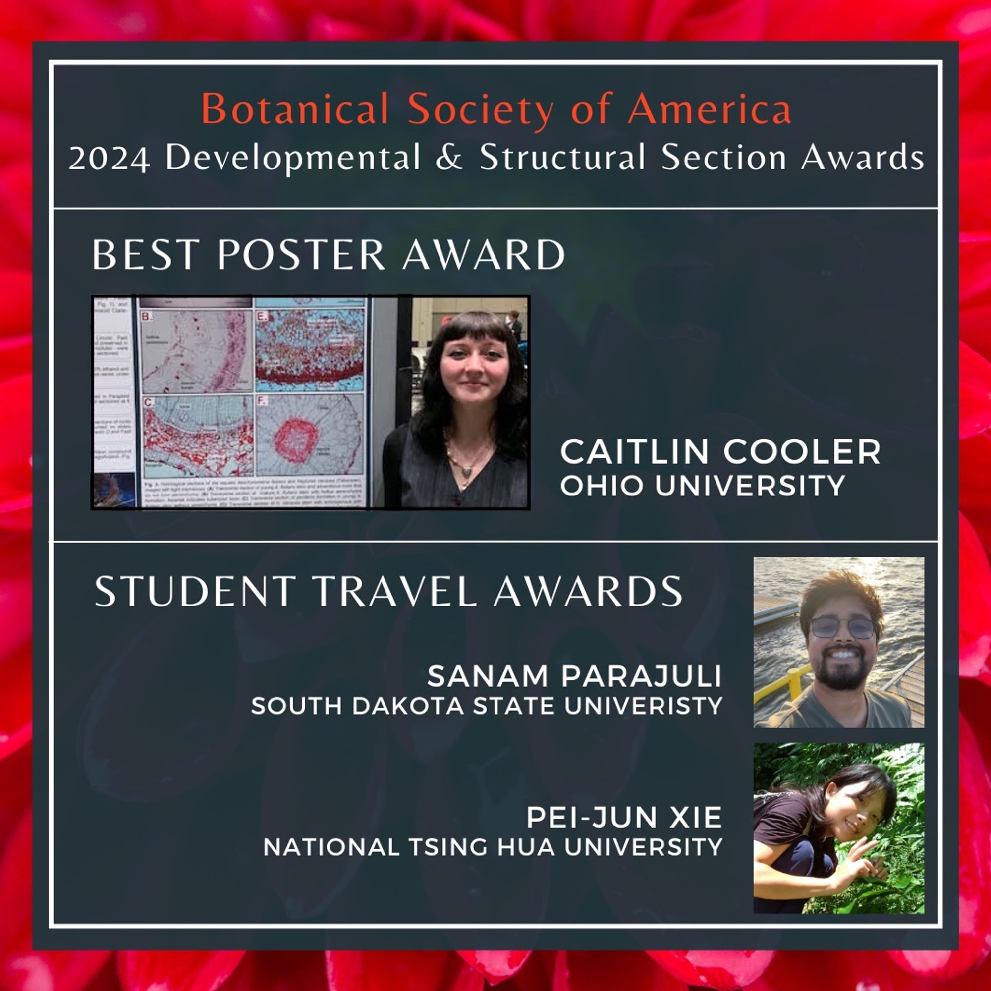 These images have photos of the winners of the following awards (which is also the text): Botanical Society of America
2024 Developmental & Structural Section Awards. Best poster award. Caitliln Cooler, Ohio University. Student Travel Awards. Sanam Parajuli, South Dakota State University. Pei-Jun Tie, National Tsing Hua University. Botanical Society of America 2024 Developmental & Structural Section Awards. Katherine Esau Award. Hanna McConnell, University of Washington.