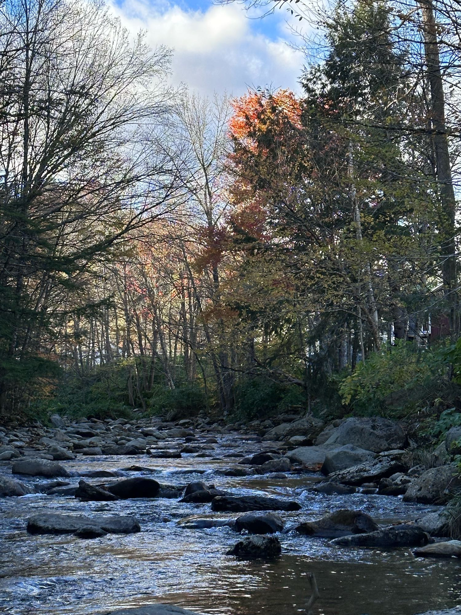 A babbling brook in just past peak Vermont foliage