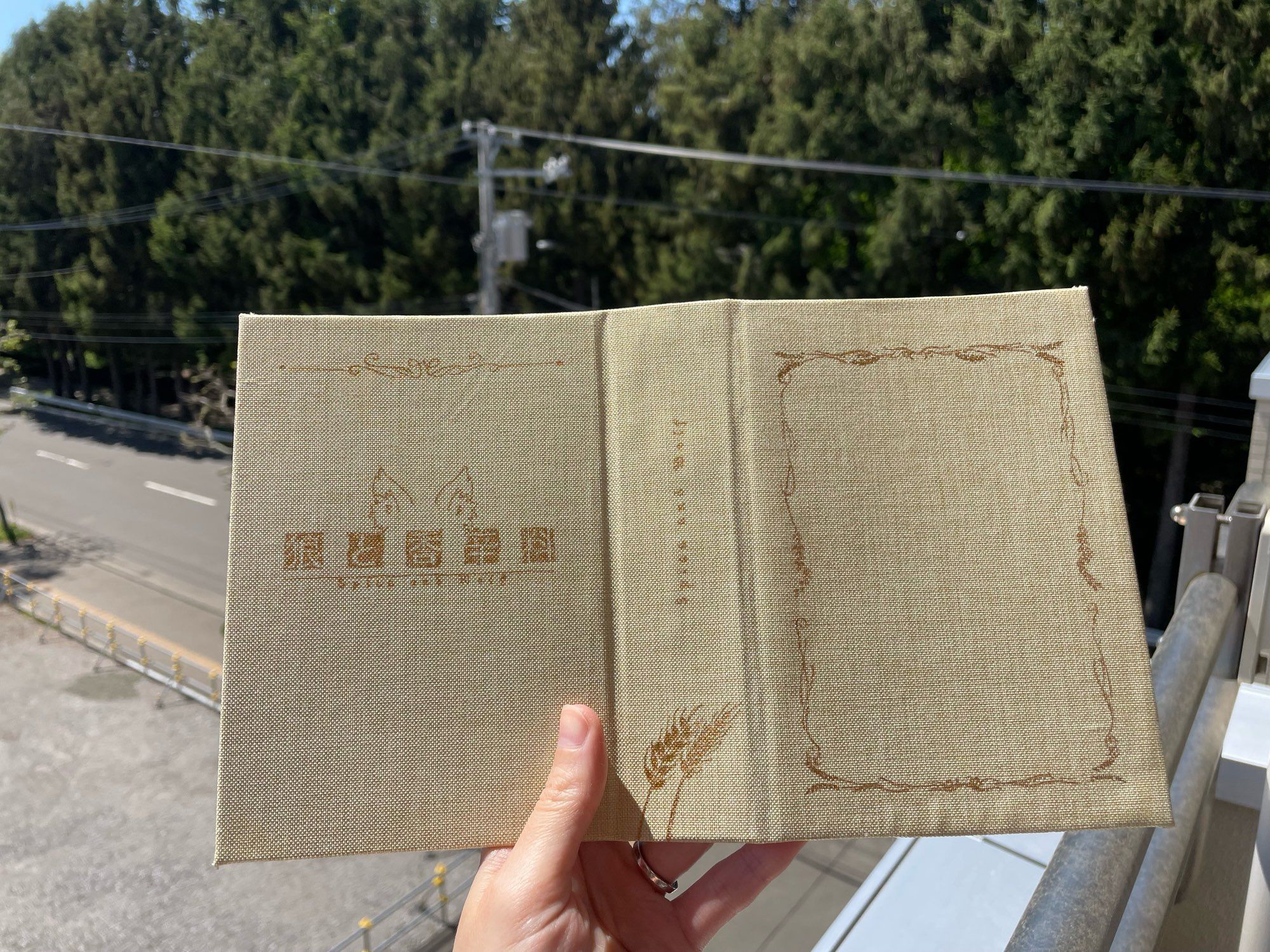 A beige book cover with a golden frame on the back and the spice and wolf logo on the front.