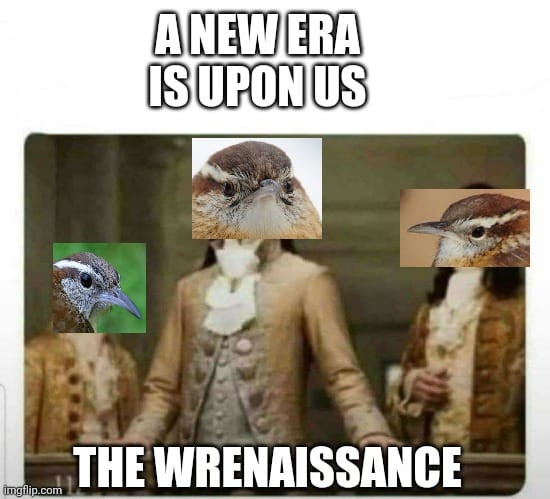 ANEWERA
ISUPONUS
lmgilip.com
THE WRENAISSANCE
[wren birds imposed over renaissance panting subjects]