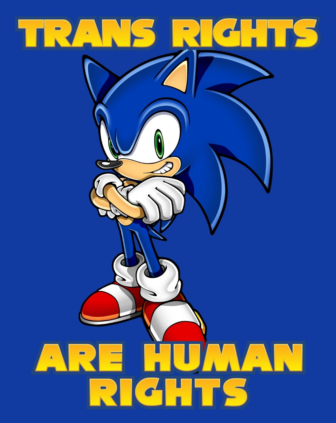 Sonic the hedgehog grinning with arms crossed on a blue background, text says "trans rights are human rights"