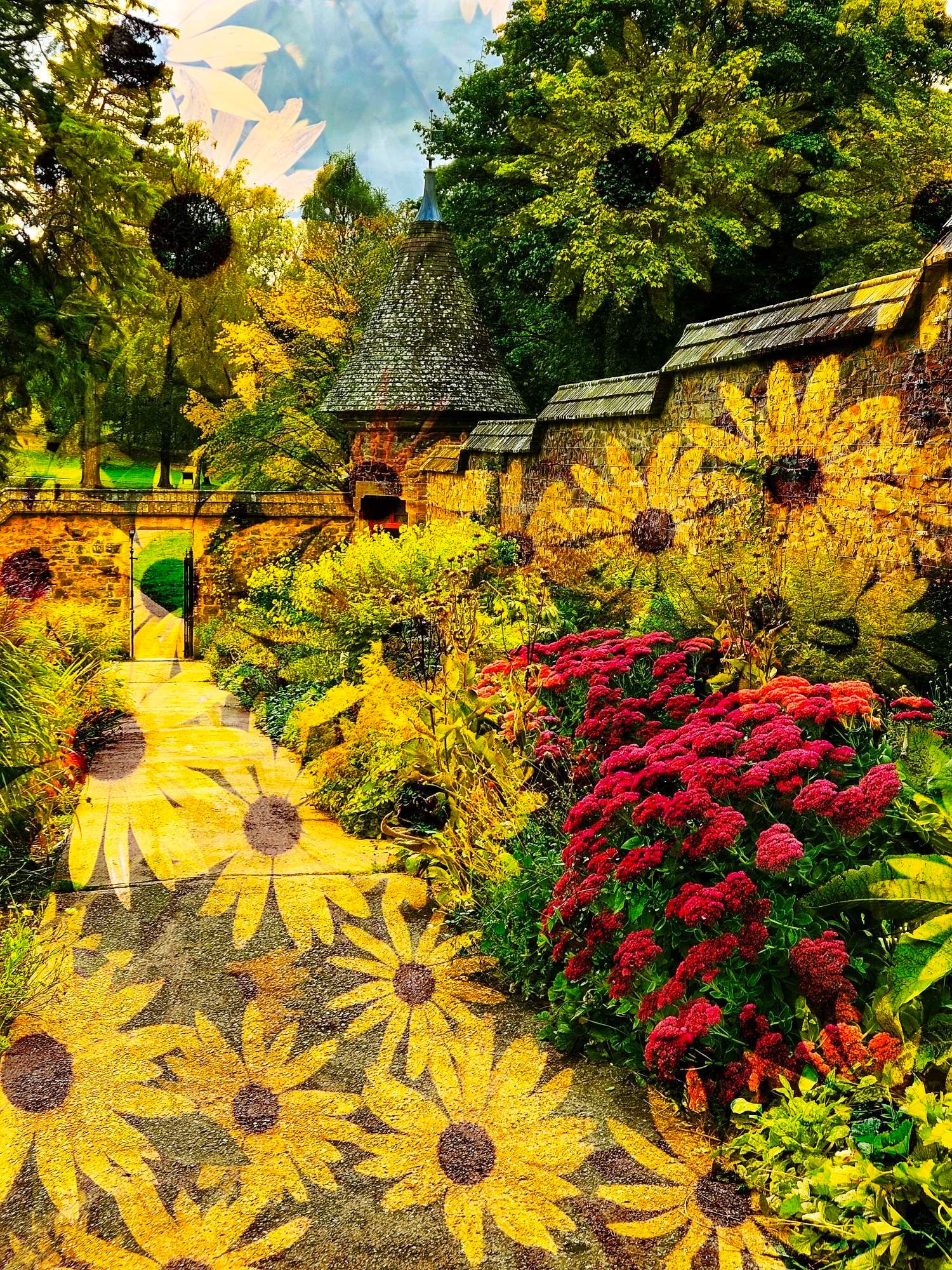 An image of bright yellow rudbeckia flowers overlaid on a scene taken in a walled garden at Knightshayes, Devon.