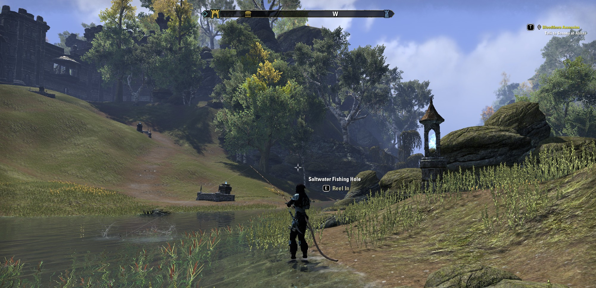 A picture of a Khajiit fishing in Cyrodil's pvp zone in Elder Scrolls Online.