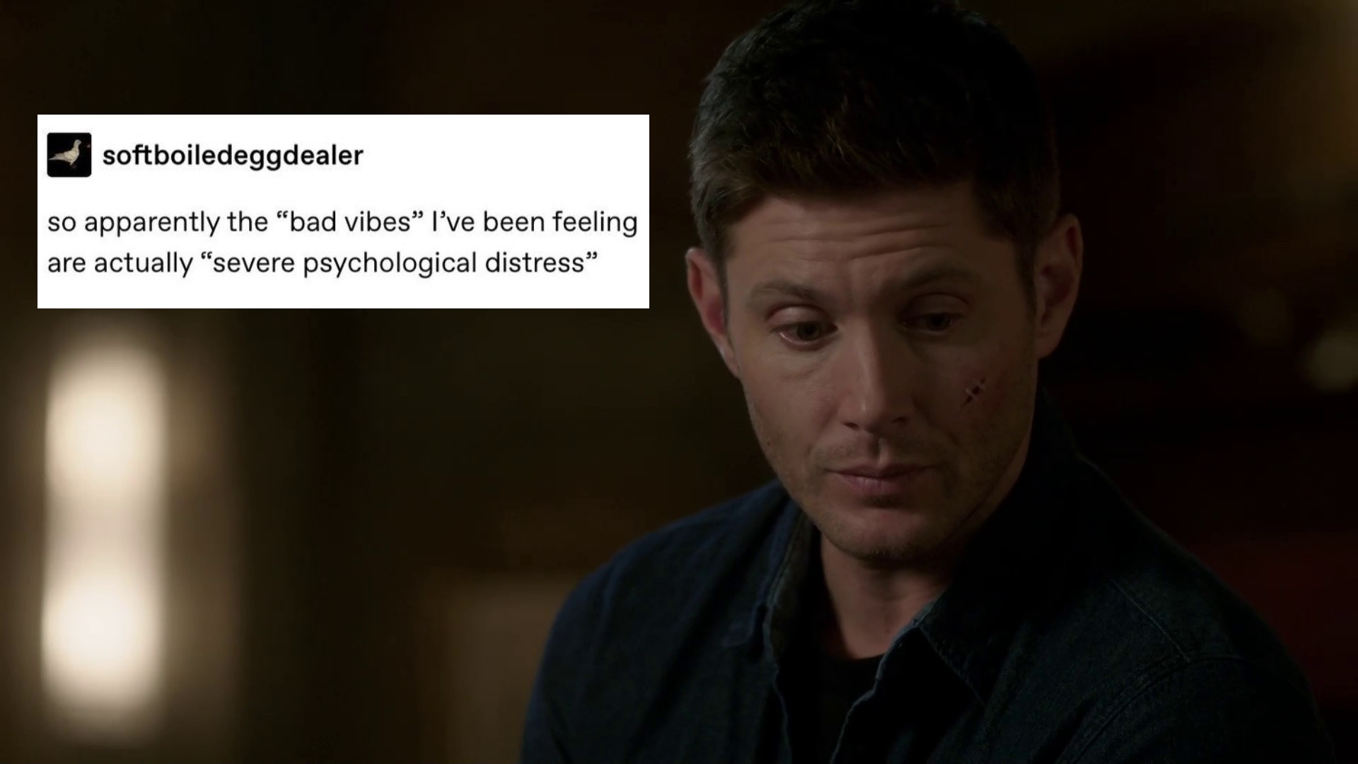 A screen cap of Supernatural of Dean staring at the ground. Over top is a screen shot of a tumbler post by soft boiled egg dealer that says: so apparently the "bad vibes" I've been feeling are actually "severe psychological distress"