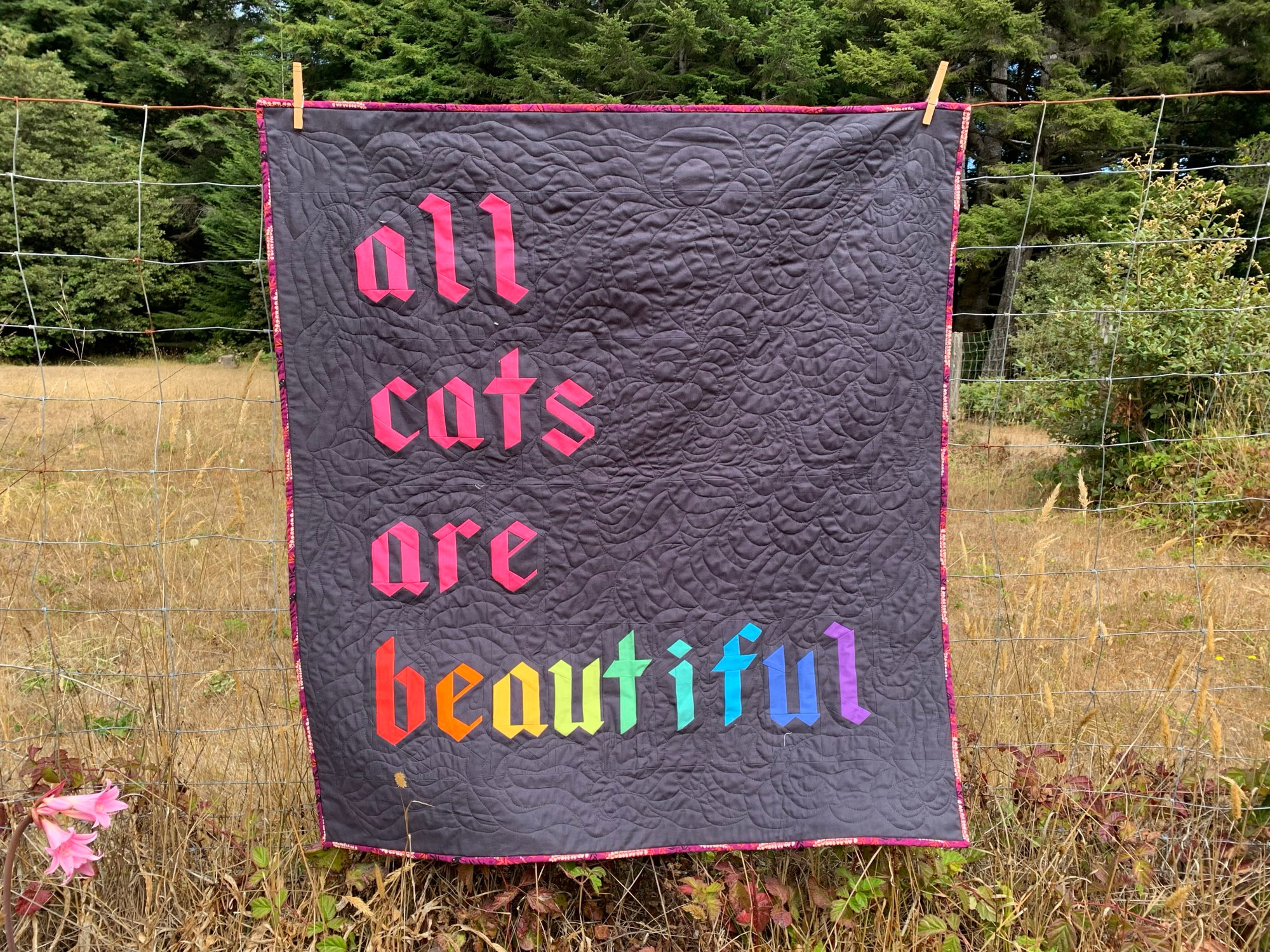 A quilt hanging on a fence. The piecing consists of the words ‘all cats are beautiful’ in red letters on a dark grey background. ‘Beautiful’ is in rainbow letters. 