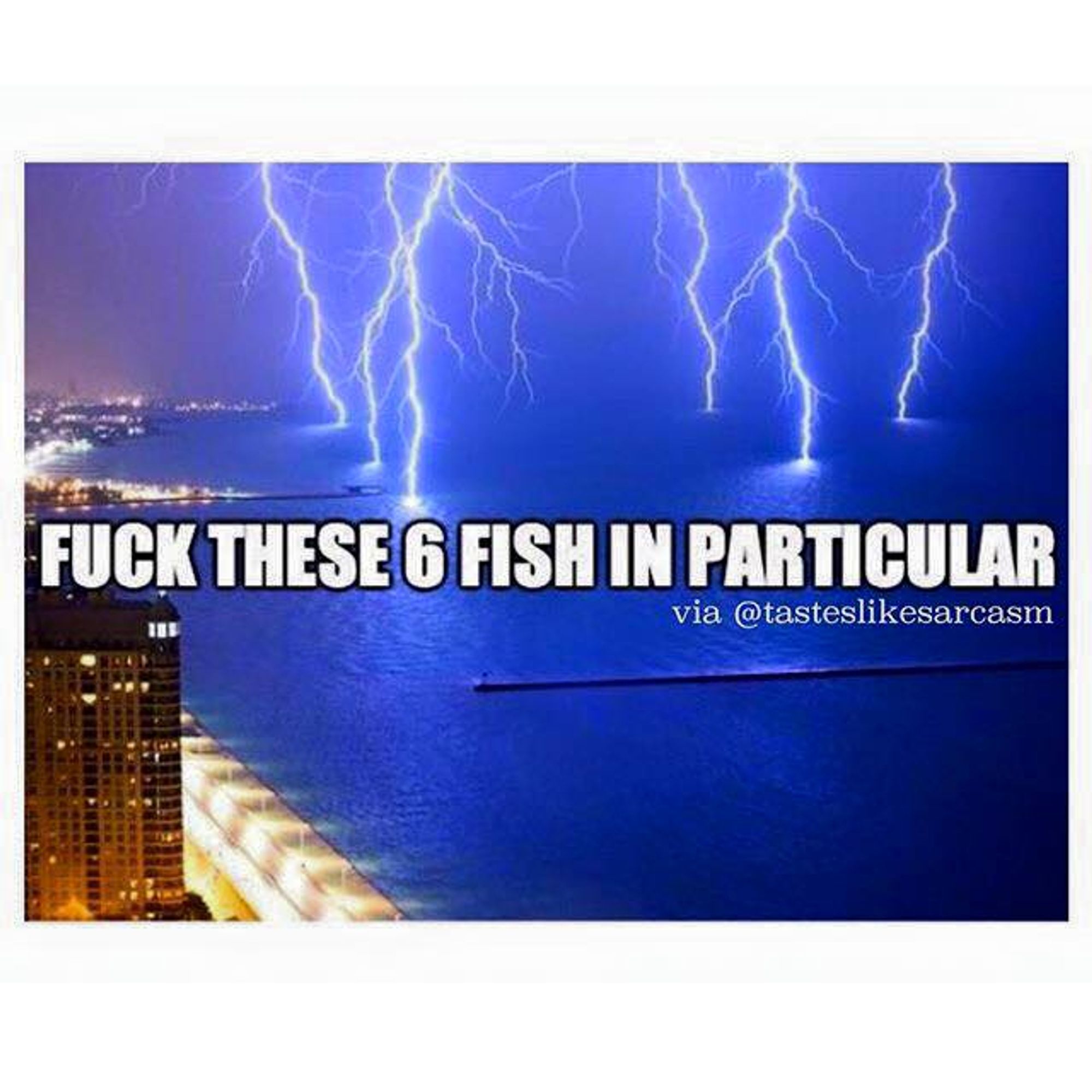 Six intense lightning bolts zapping a bay in Florida. "Fuck These Six Fish In Particular".