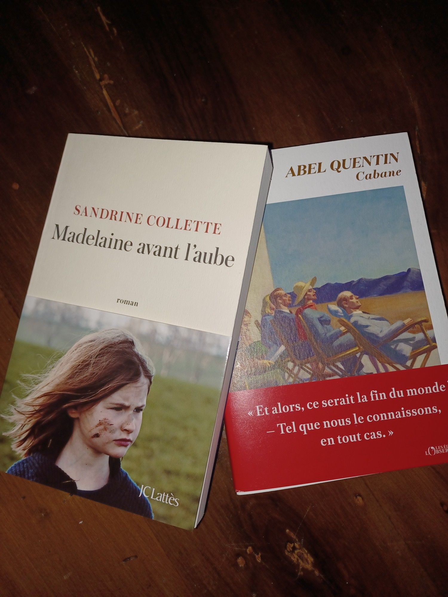 Deux livres : Madeleine avant l'aube de Sandrine Collette, et Cabane d'Abel Quentin