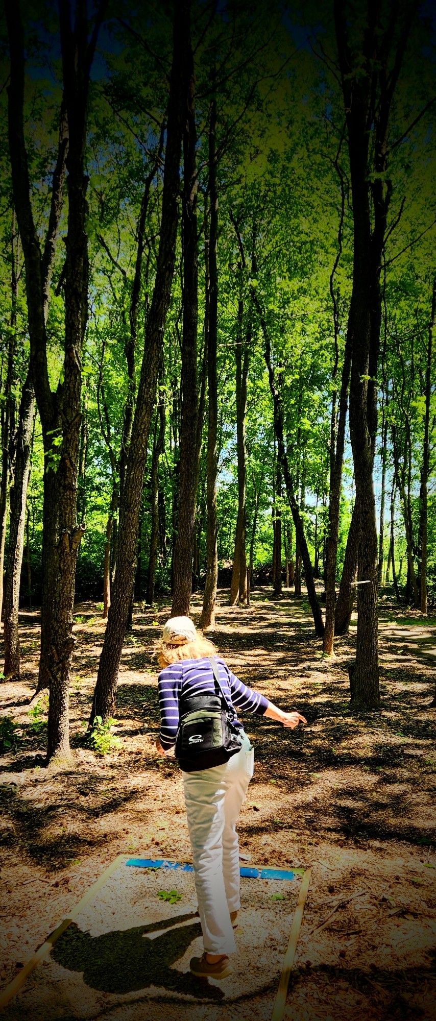 Shot of a woman throwing a disc golf disc amongst trees in some woods.