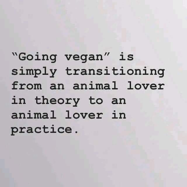 "Going vegan" is 
simply transitioning
from an animal lover
in theory to an 
animal lover in
practice.

HowDoIGoVegan.com