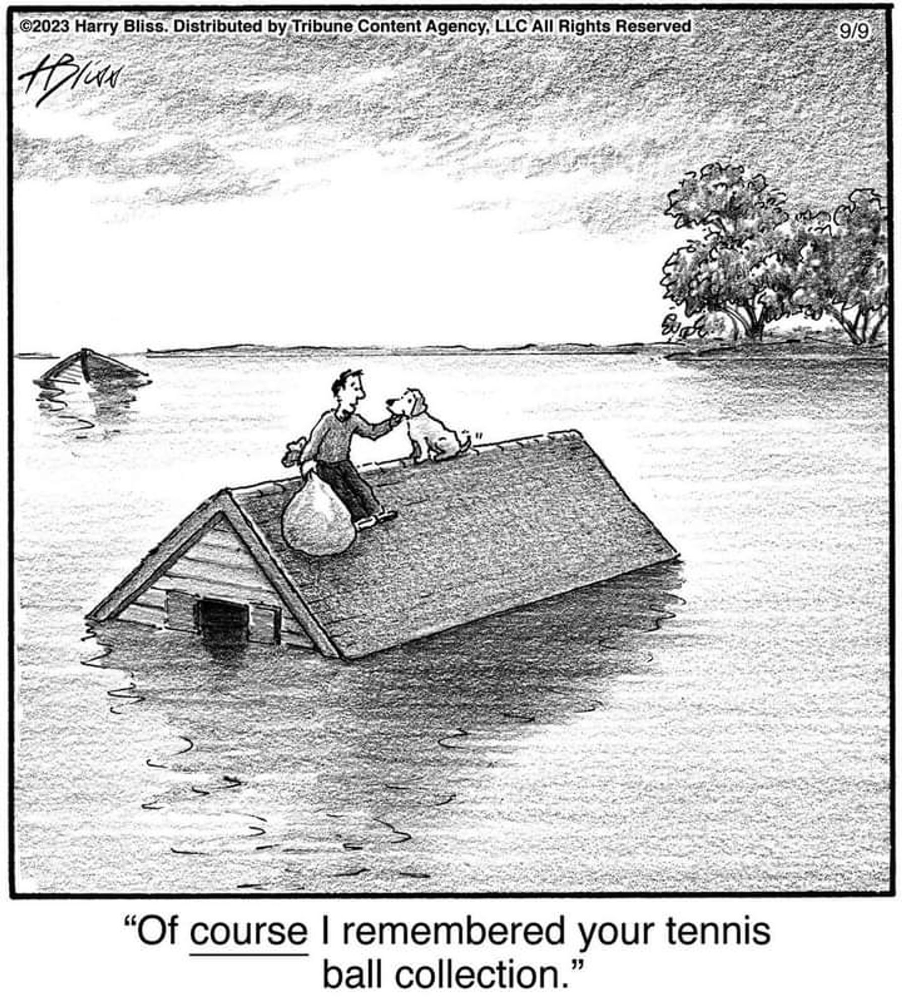 A cartoon of a flooded landscape with a house almost submerged in the flood.
On the roof of the house a man is sitting holding a large bag filled with tennis balls. The man is speaking to his dog and reassuring him that he remembered to save the dogs ball collection from the flood.