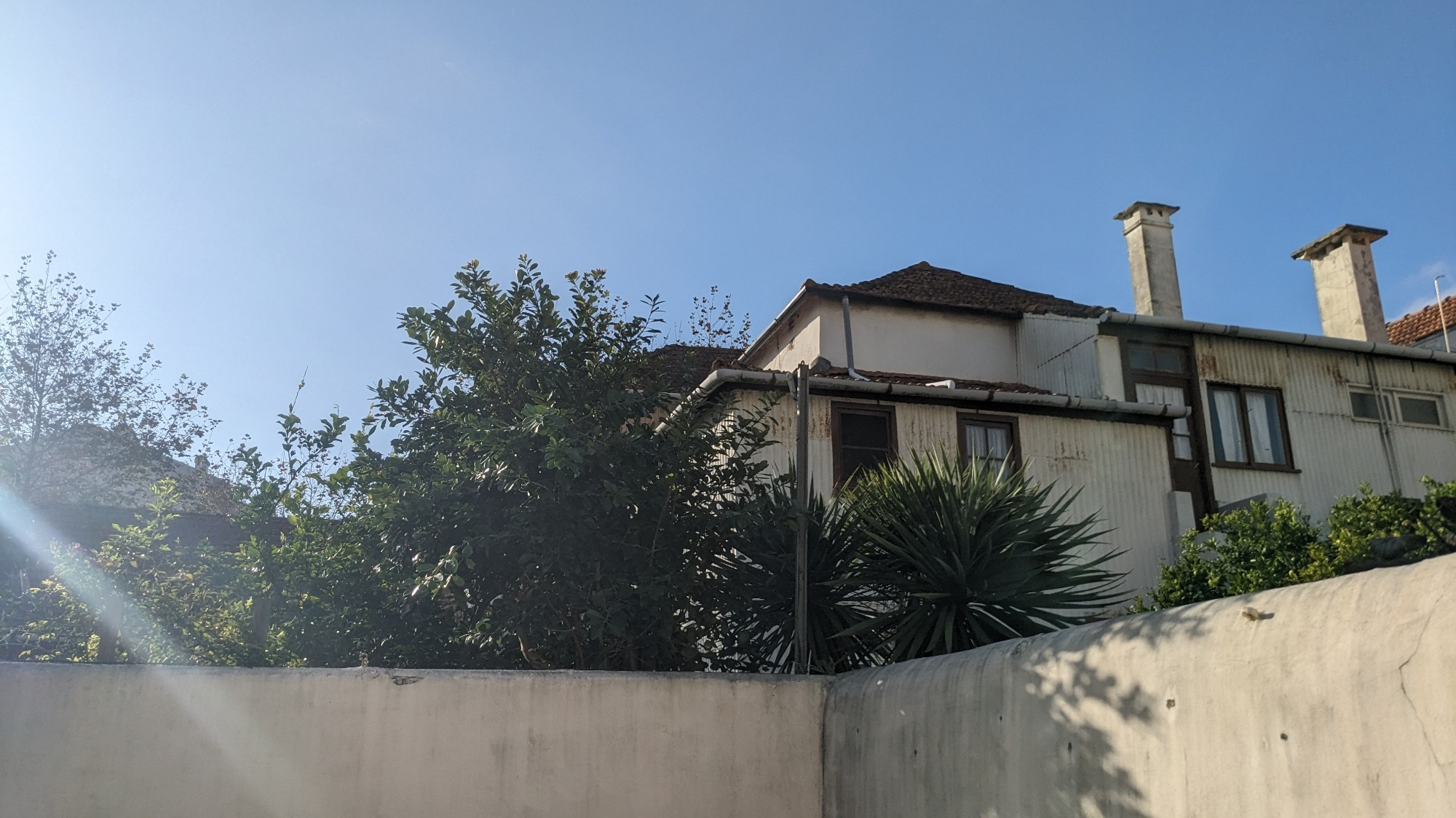 View from my back garden. Blue sky and green trees and shrubbery bathing in sunlight.  White walls and buildings, red roofs, chimneys.