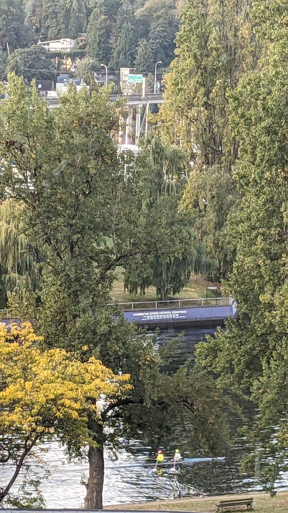 Rowers on the Montlake cut.