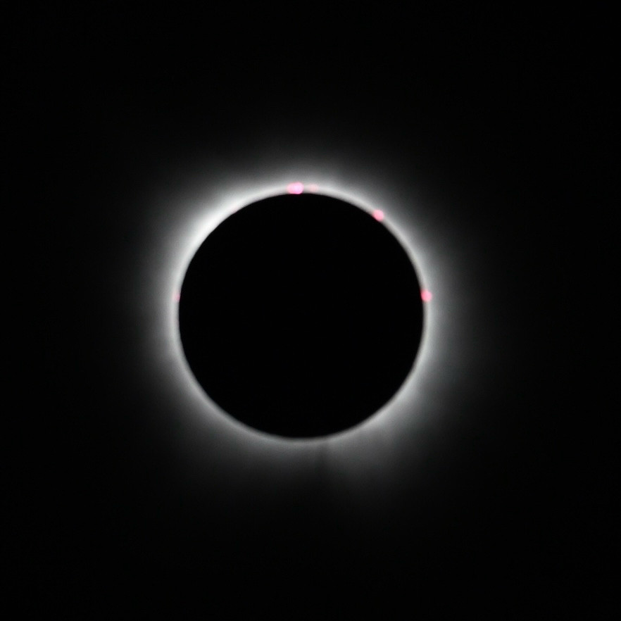 8 April 2024 photo of solar eclipse during totality, showing a number of red dots on the edge and a halo of light around the full circumference.