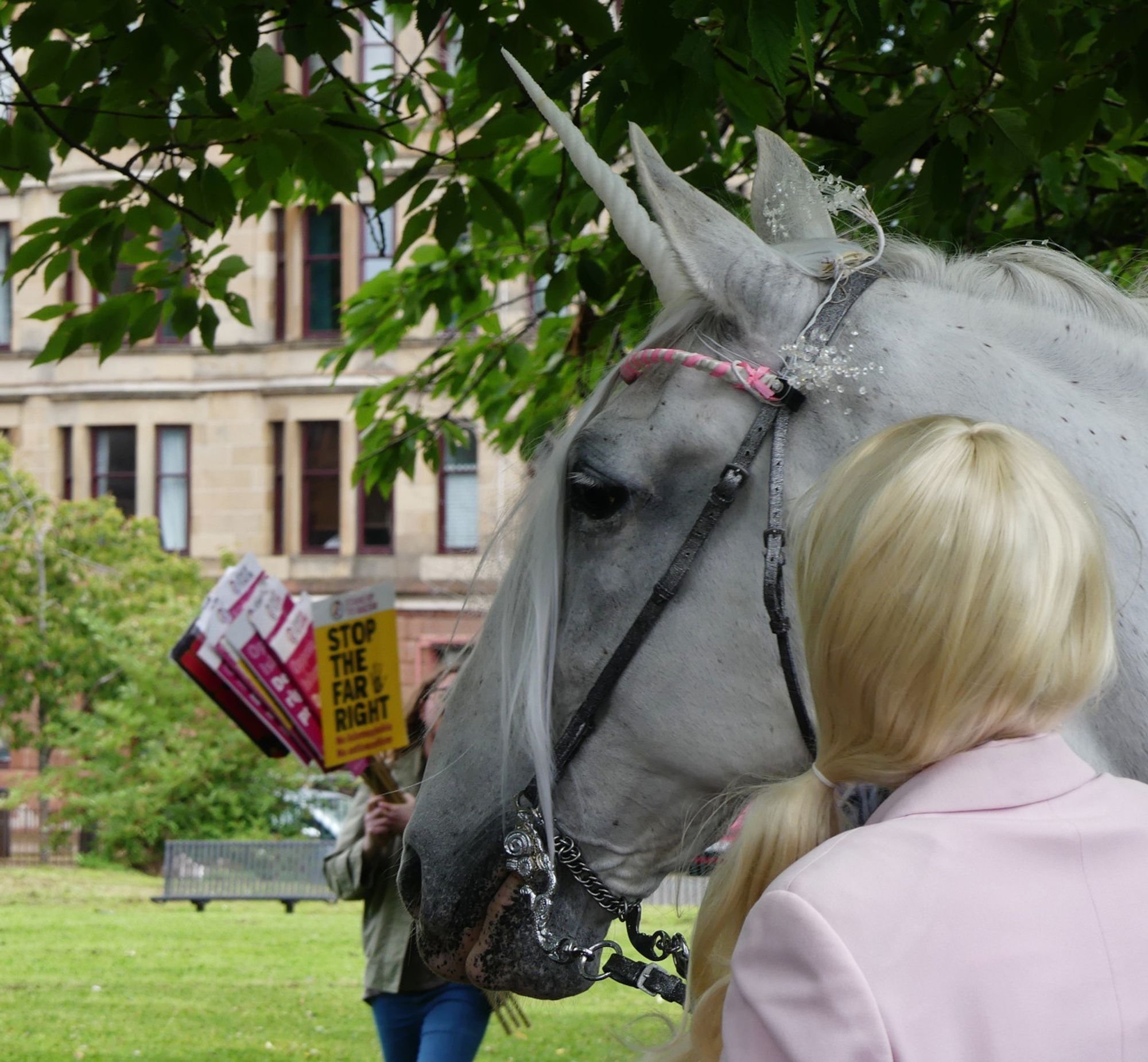 The unicorn at the Govanhill Carnival.