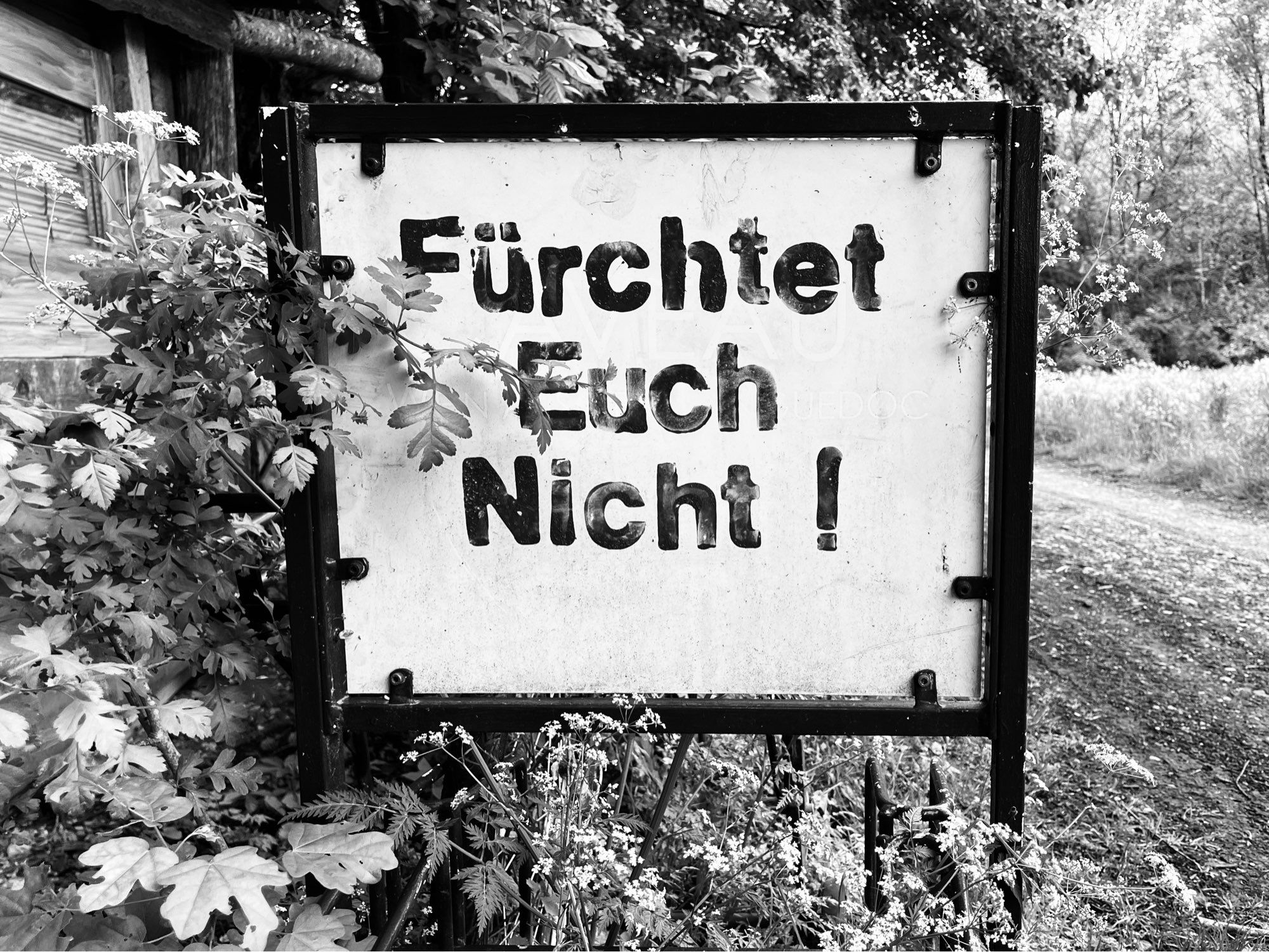 S/W-Foto. Ein Schild am Rand eines Feldwegs am Waldrand mit der Aufschrift „Fürchtet Euch Nicht!“.