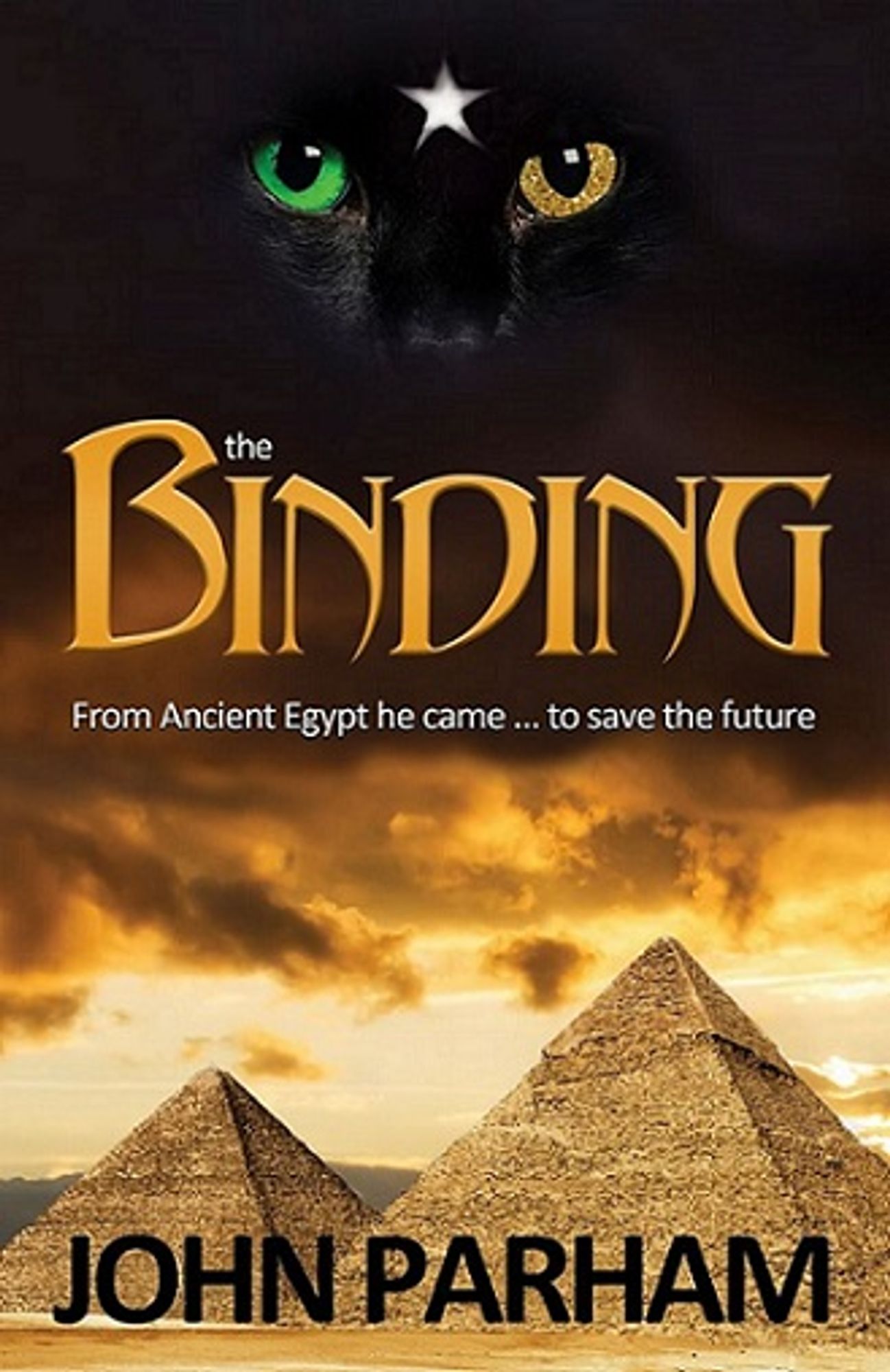 Cover of The Binding by John Parnham