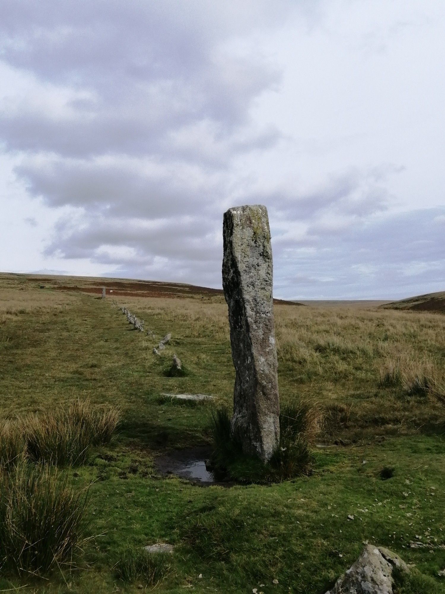 Tall standing stone with stone row leading to the top left of the picture. Grassy moorland with grey sky.