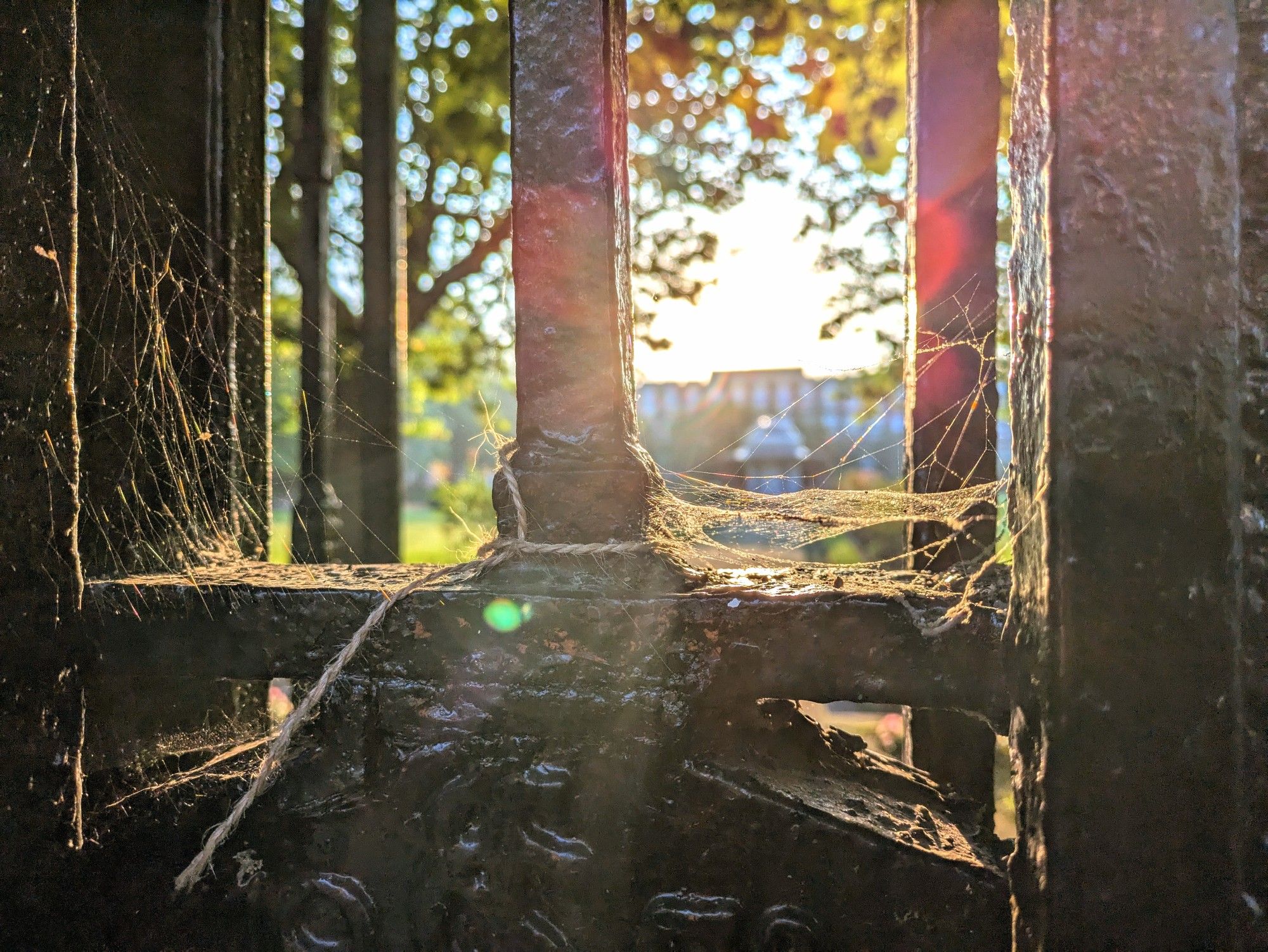 A view through cobweb-strewn gates towards the Abercromby Square rotunda, purported to be haunted by the ghosts of ECRs past.