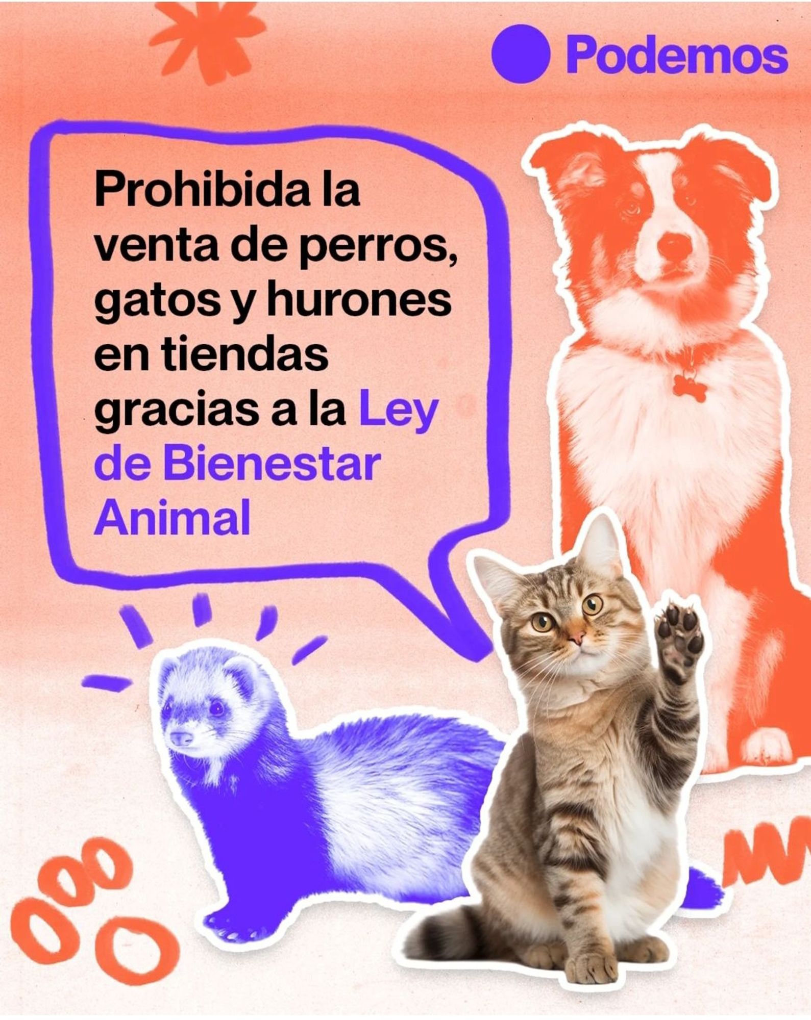 Un perro en posición de espera, un hurón sorprendido y un gato con la pata izquierda levantada saludando.