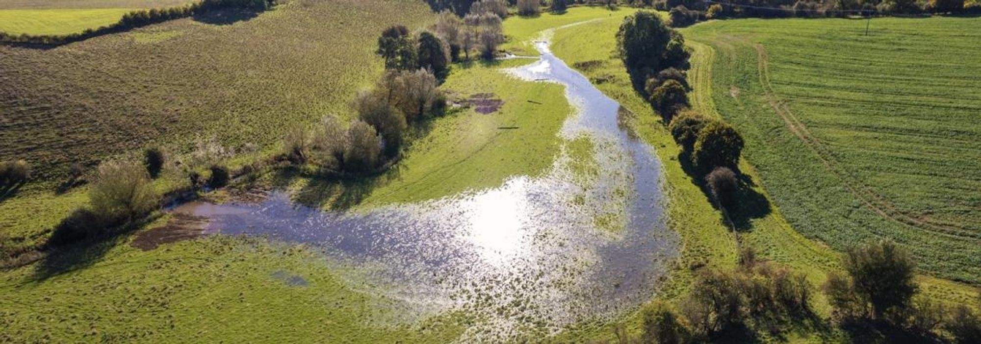 A grassy field with shallow flooding, surrounded by trees on either side and adjacent to an arable crop field.