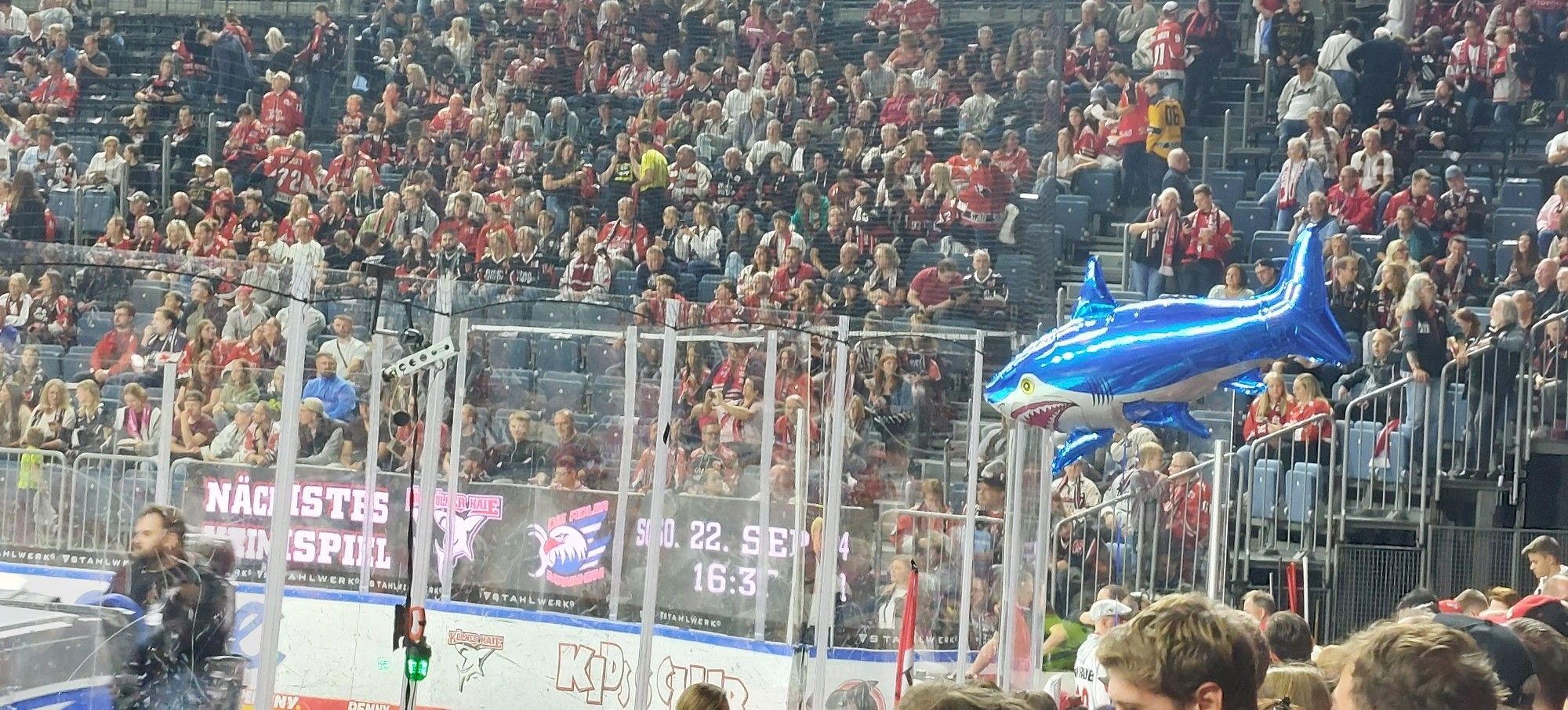 Foto eines Hai Ballons in der Stehplatz Kurve der KölnArena beim Eishockey.