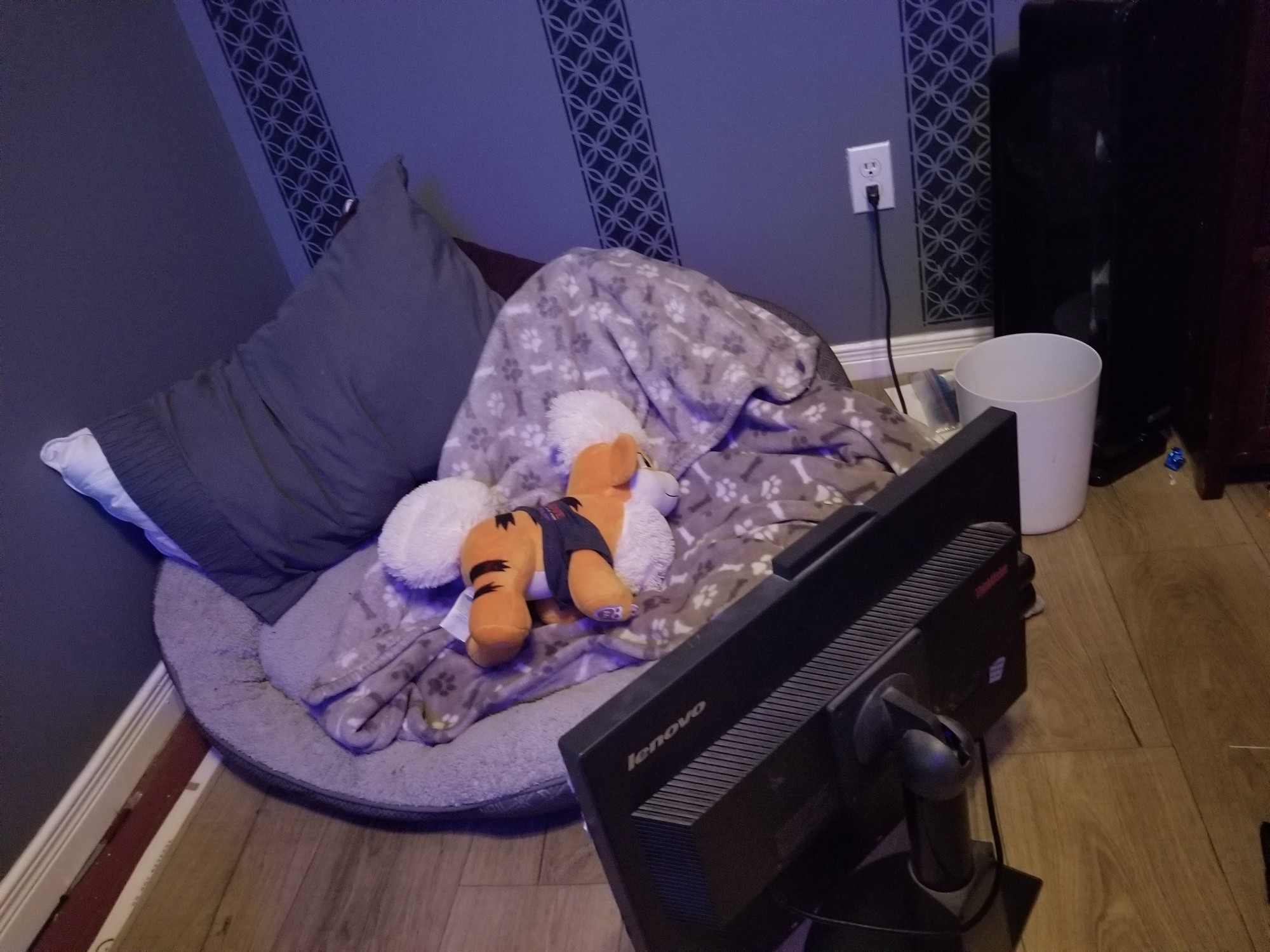 Dog bed with 2 pillows, a blanket, a Growlithe plushie, and a monitor