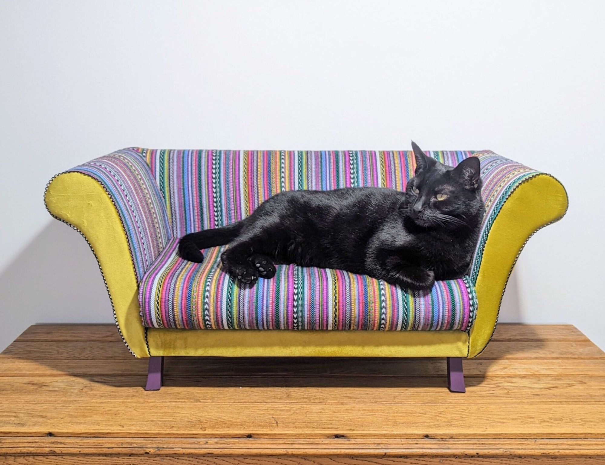 Black cat lounges comfortably on a purple striped cat sofa