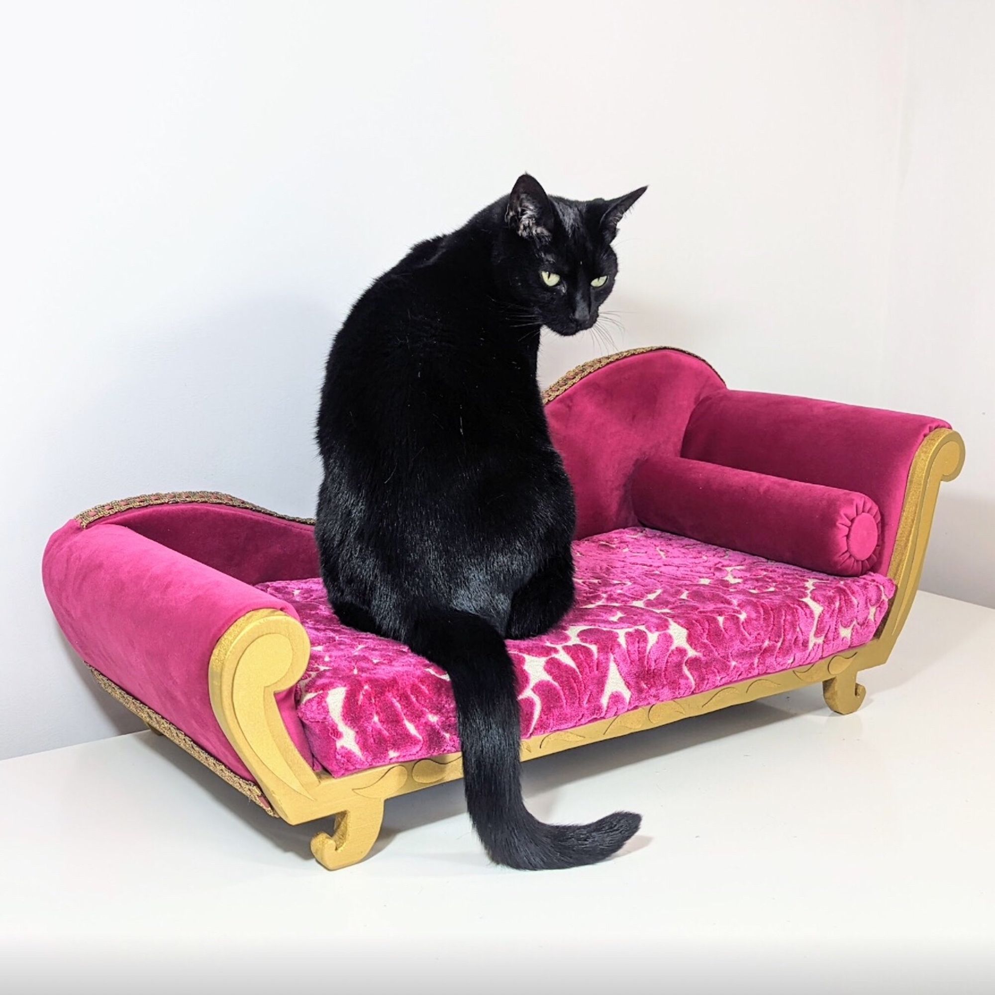 Black cat sitting upright looking over her shoulder while sitting on a pink velvet chaise long