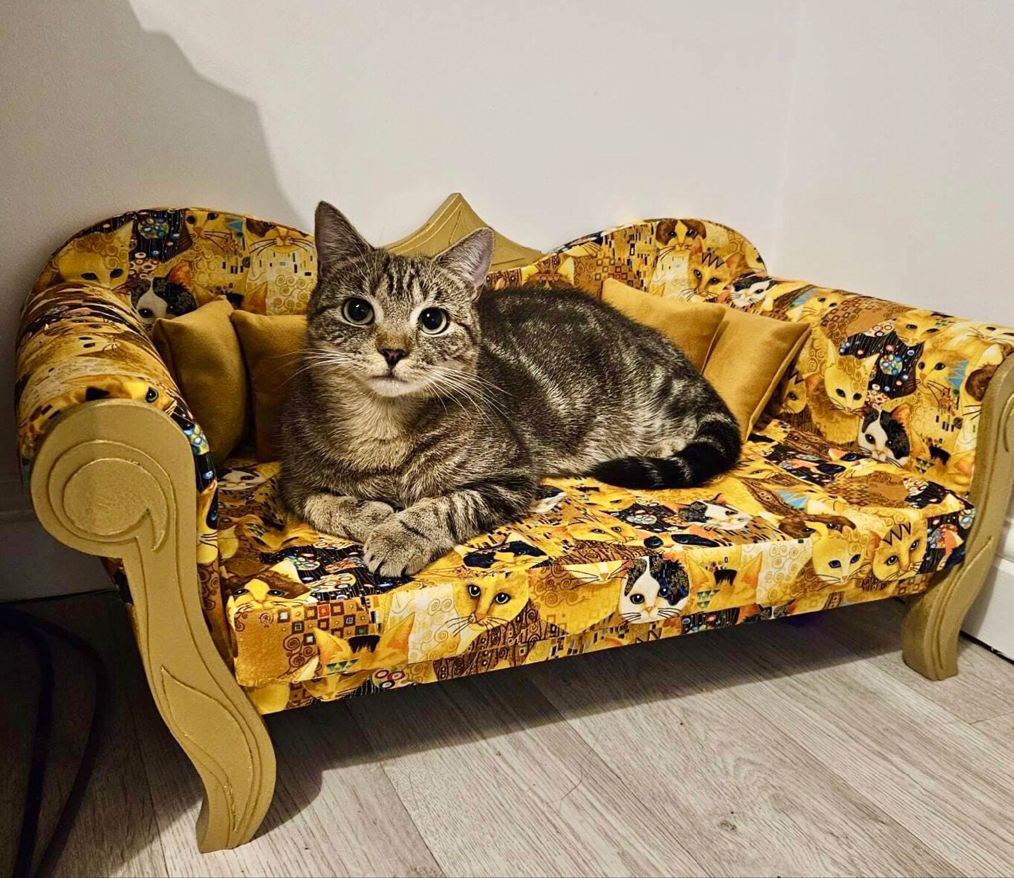 Pretty Tabby cat sits on a yellow and gold cat sofa which she only received an hour before.