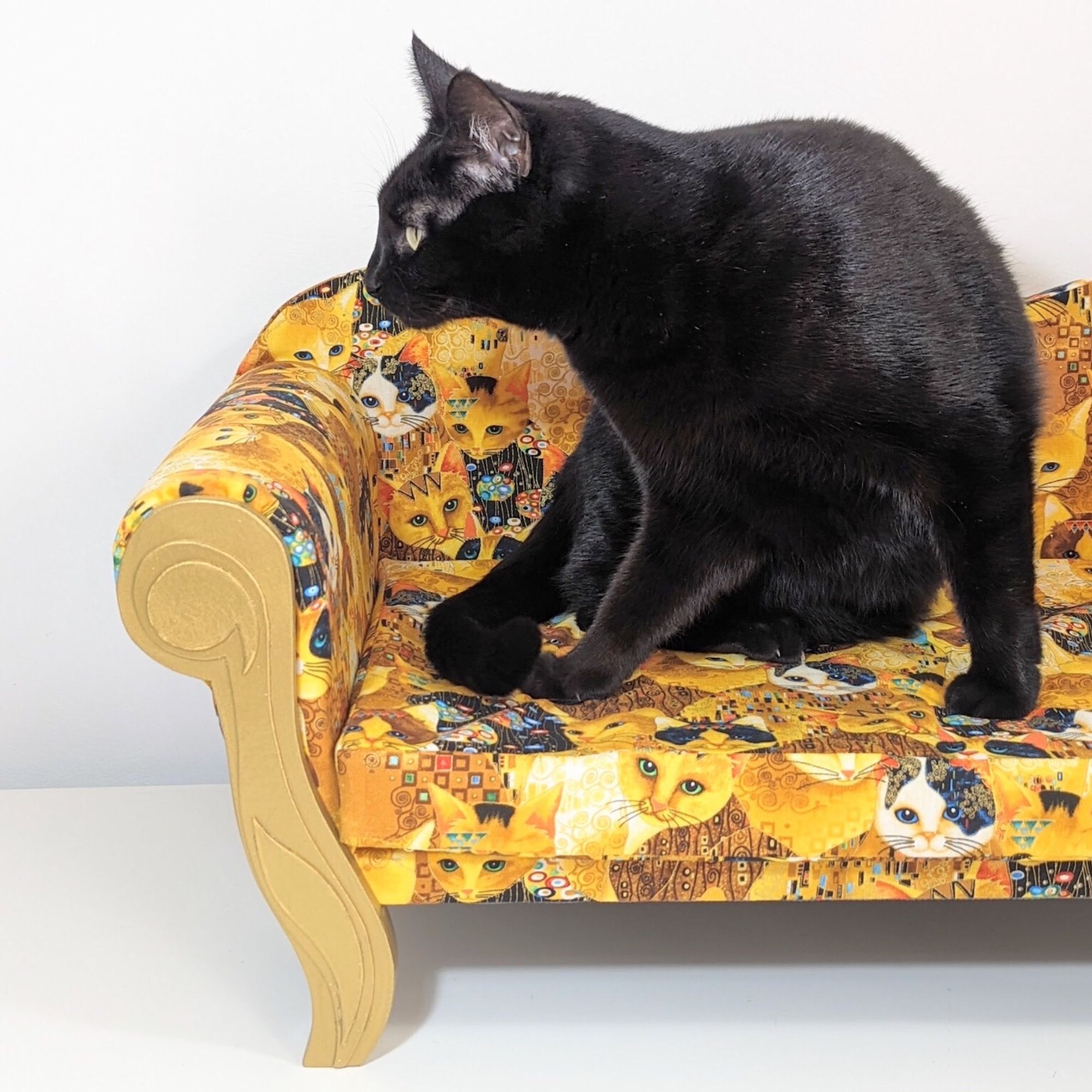 Black cat sits in a gold and yellow cat sofa