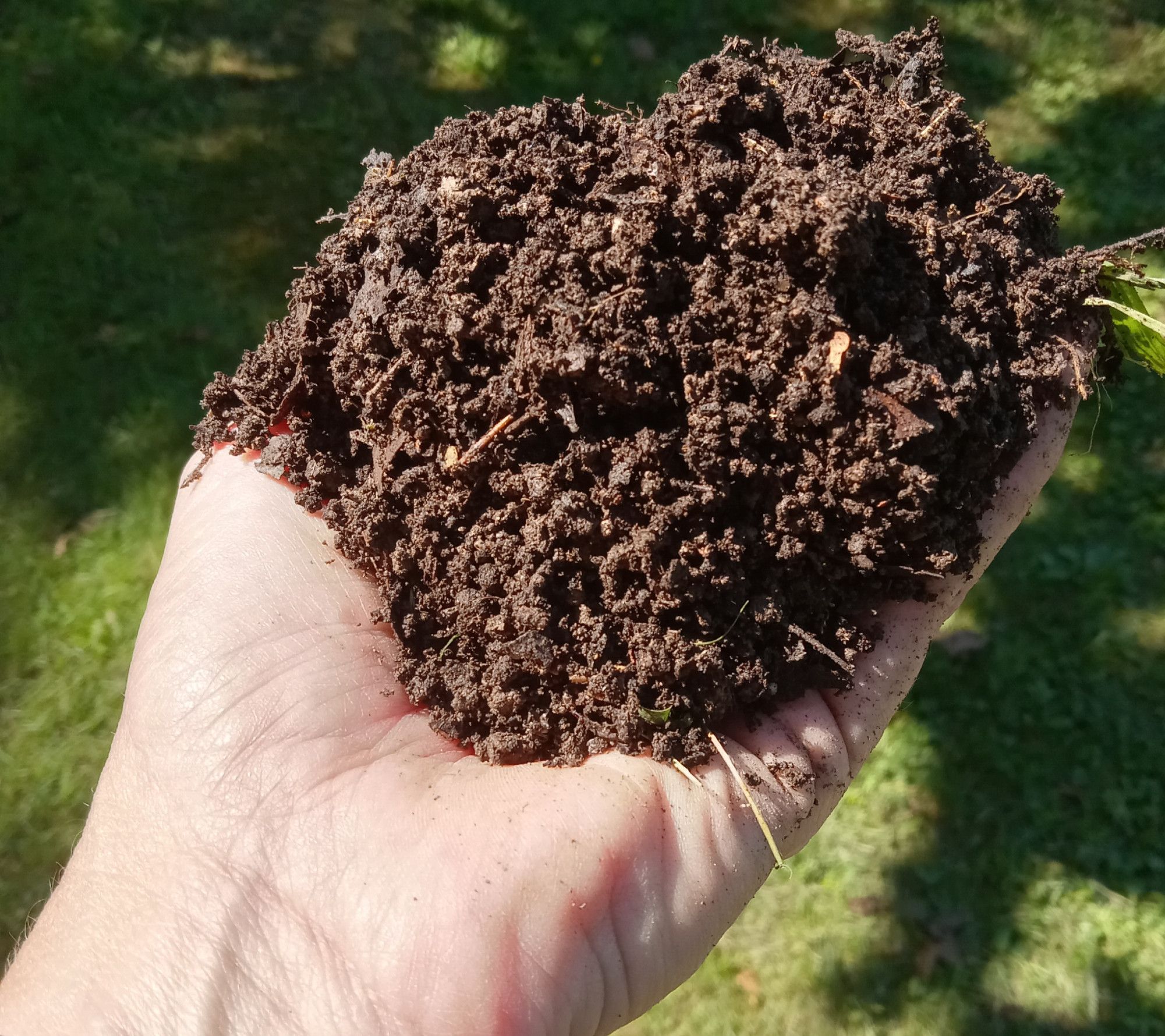 A hand full of dark brown compost in sun.