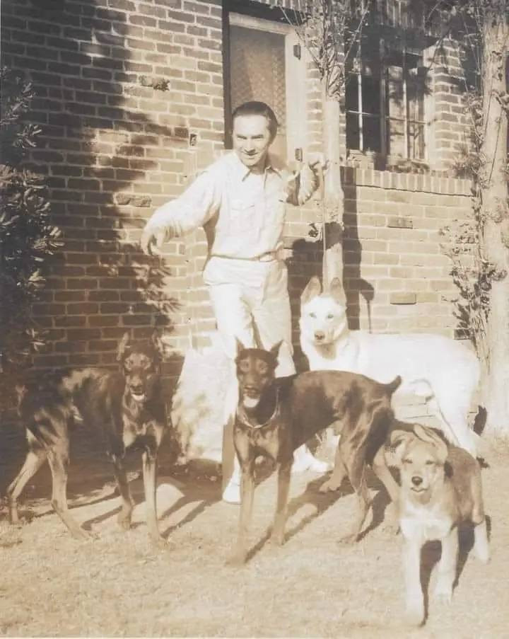 O ator Bela Lugosi, conhecido por interpretar Drácula, posando com seus 4 cachorros no jardim de sua casa