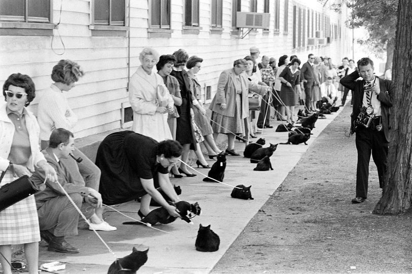 Foto antiga mostrando um grupo (praticamente só) de senhoras elegantes com seus gatos pretos em coleiras enquanto aguardam de pé em uma fila ao lado de um prédio do estúdio